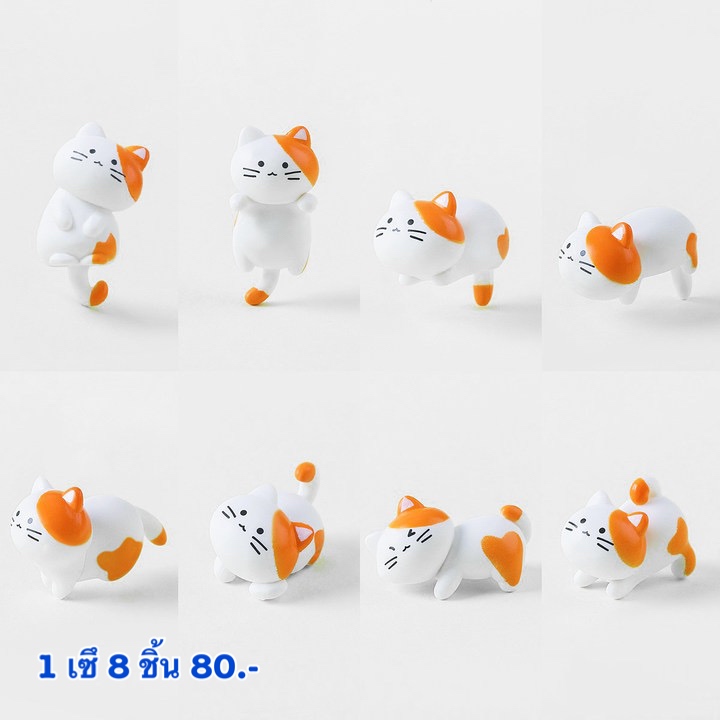 แมว 8 ชิ้น