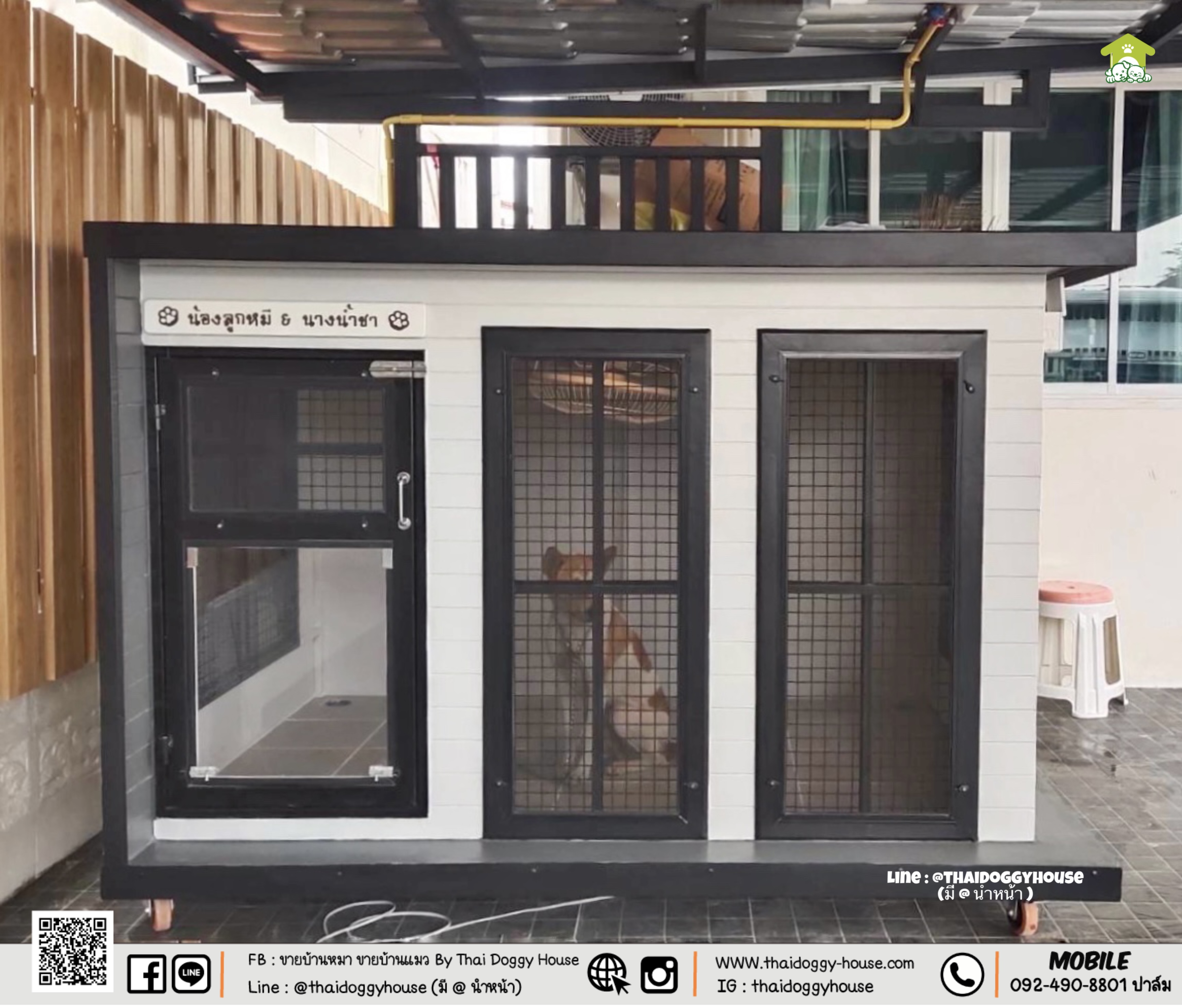 บ้านหมา บ้านแมว " 𝐁𝐎𝐗 𝐒𝐓𝐘𝐋𝐄 𝐁𝐘 𝐓𝐇𝐀𝐈 𝐃𝐎𝐆𝐆𝐘 𝐇𝐎𝐔𝐒𝐄 "