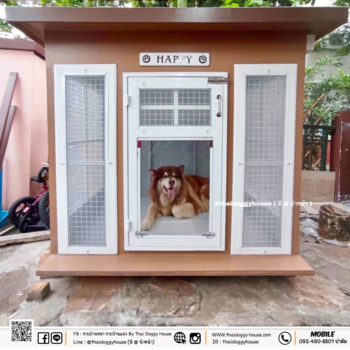 บ้านหมา บ้านแมว Box Style ตะแกรงเหล็ก มุ้งลวด