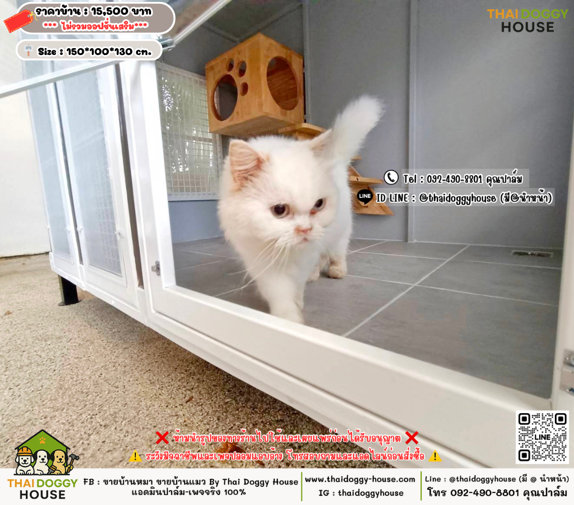 บ้านหมา บ้านแมว 𝐓𝐡𝐚𝐢 𝐝𝐨𝐠𝐠𝐲 𝐡𝐨𝐮𝐬𝗲