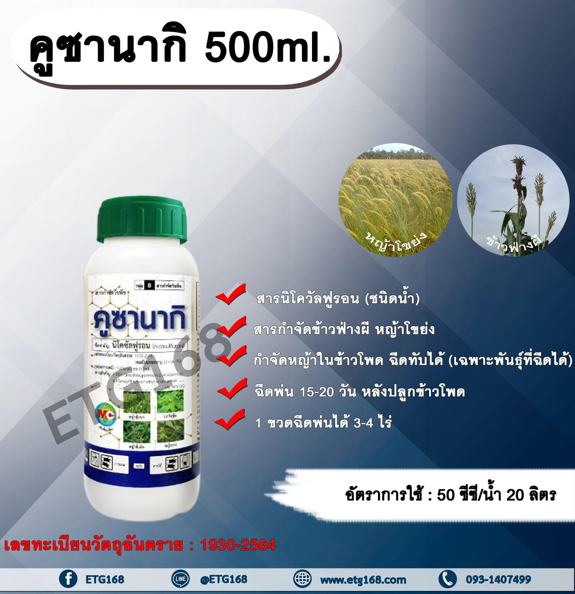 คูซานากิ 500ml. สารนิโคซัลฟูรอน สารกำจัดวัชพืช กำจัดหญ้า ในข้าวโพด กำจัดข้าวฟ่างผี หญ้าโขย่ง หญ้าปากควาย หญ้าตีนติด หญ้าตีนกา