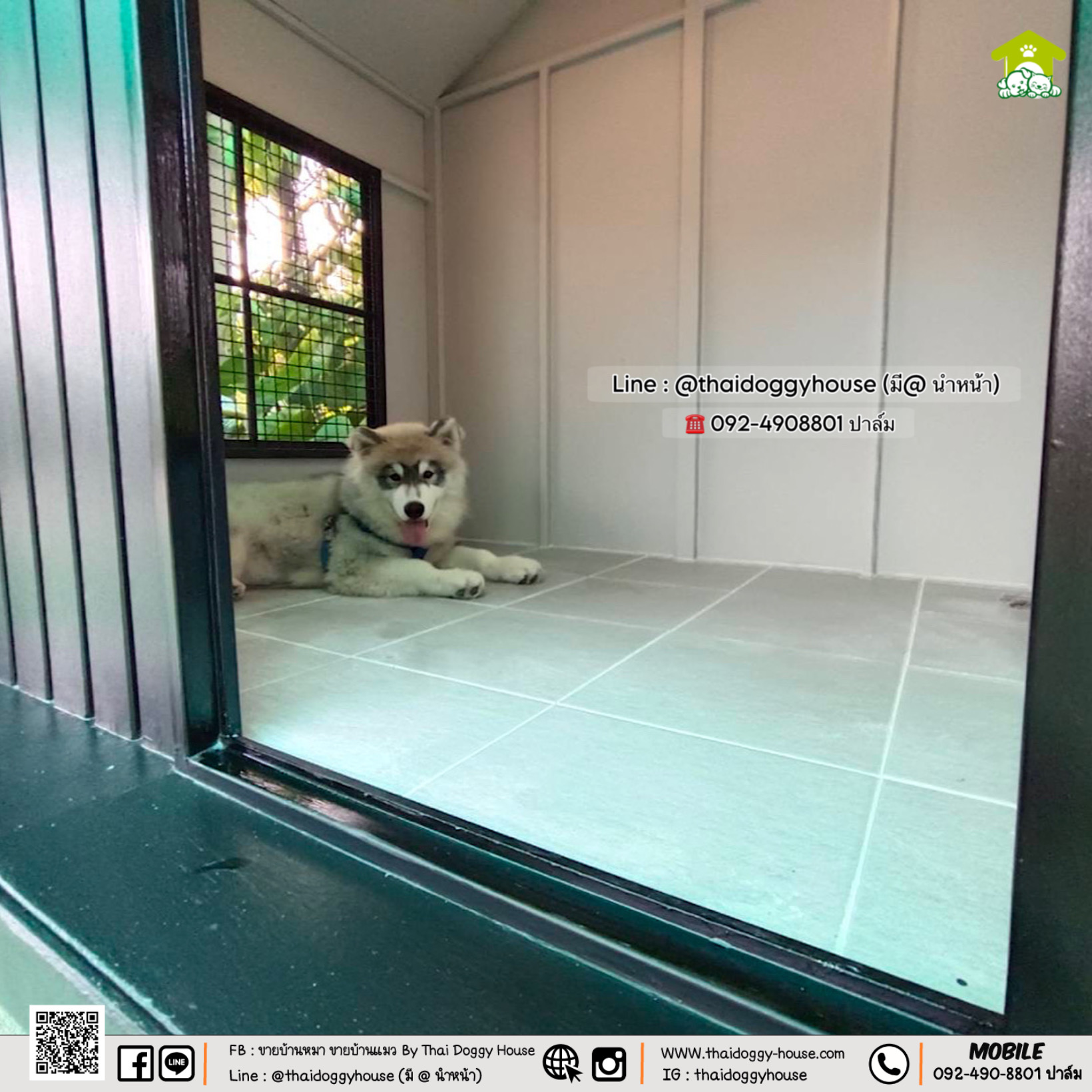 𝗠𝗜𝗡𝗜𝗠𝗔𝗟 𝗦𝗧𝗬𝗟𝗘 บ้านหมา บ้านแมว " 𝐓𝐇𝐀𝐈 𝐃𝐎𝐆𝐆𝐘 𝐇𝐎USE