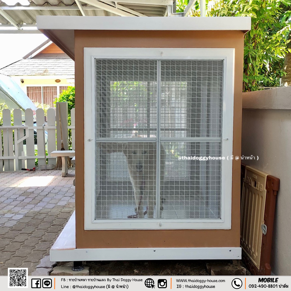 บ้านหมา บ้านแมว " 𝐁𝐎𝐗 𝐒𝐓𝐘𝐋𝐄 𝐁𝐘 𝐓𝐇𝐀𝐈 𝐃𝐎𝐆𝐆𝐘 𝐇𝐎𝐔𝐒𝐄 " &#x