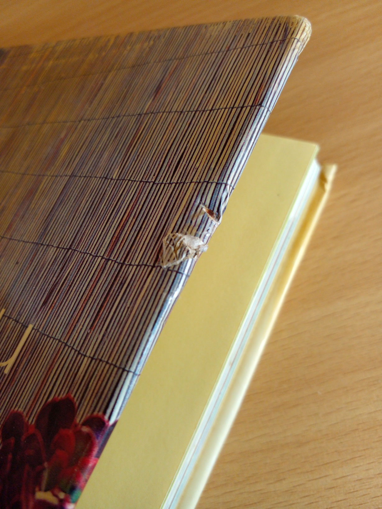 สวนสำหรับคนไม่มีสวน คำตอบสำหรับคนไม่มีพื้นที่สวน