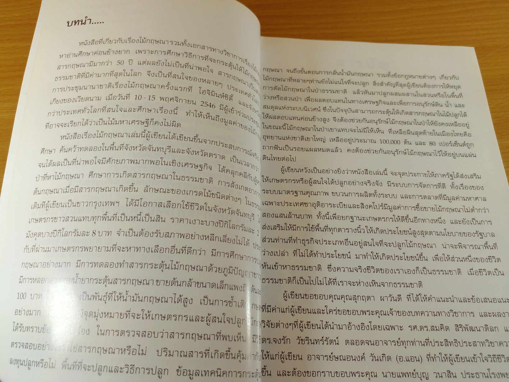 ไม้กฤษณาปลูก ต้นละหมื่น ไร่เป็นล้าน