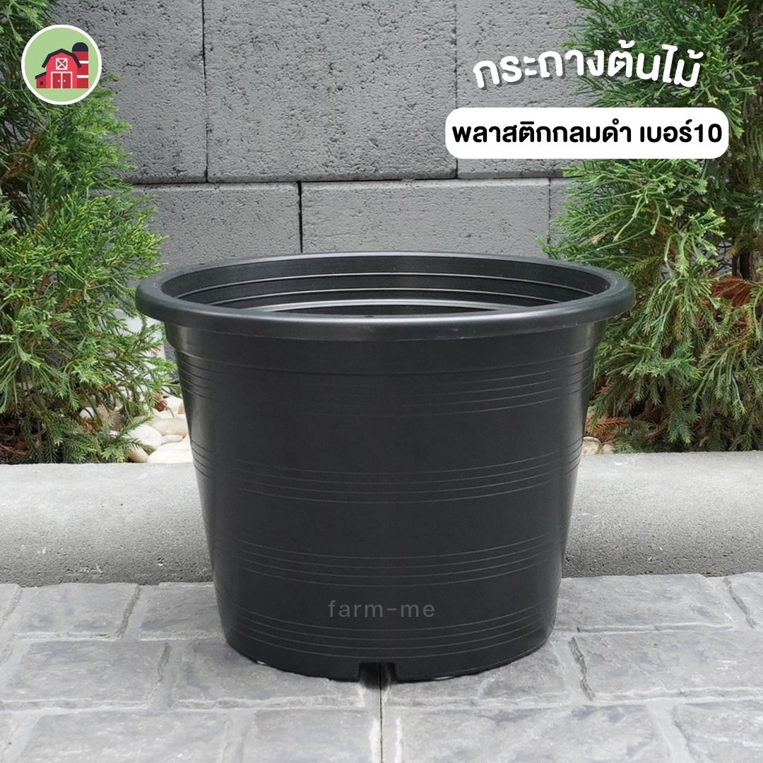 กระถางต้นไม้ กลมดำ เบอร์10