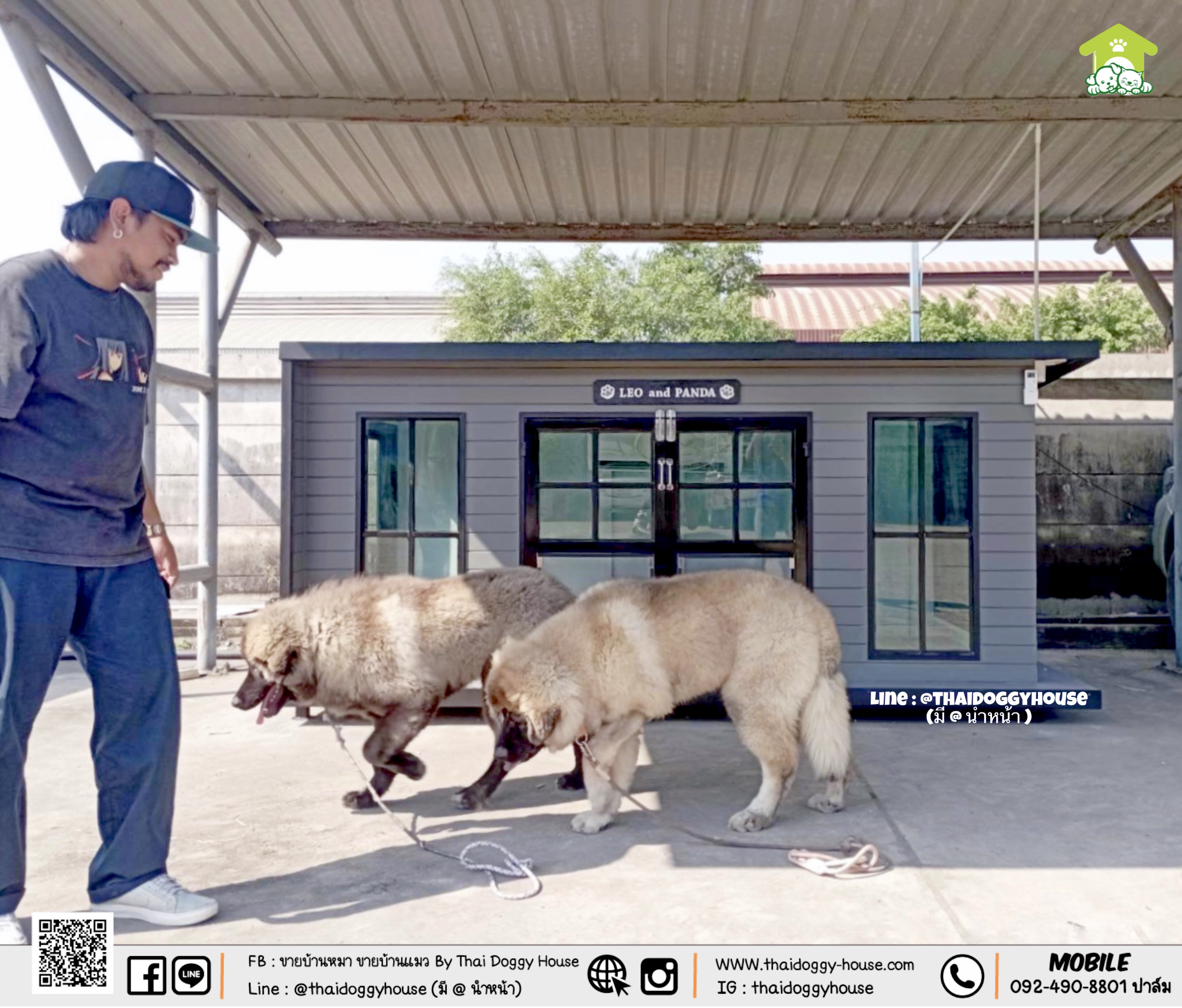 บ้านหมา บ้านแมว " 𝐁𝐎𝐗 𝐒𝐓𝐘𝐋𝐄 𝐁𝐘 𝐓𝐇𝐀𝐈 𝐃𝐎𝐆𝐆𝐘 𝐇𝐎𝐔𝐒𝐄 "