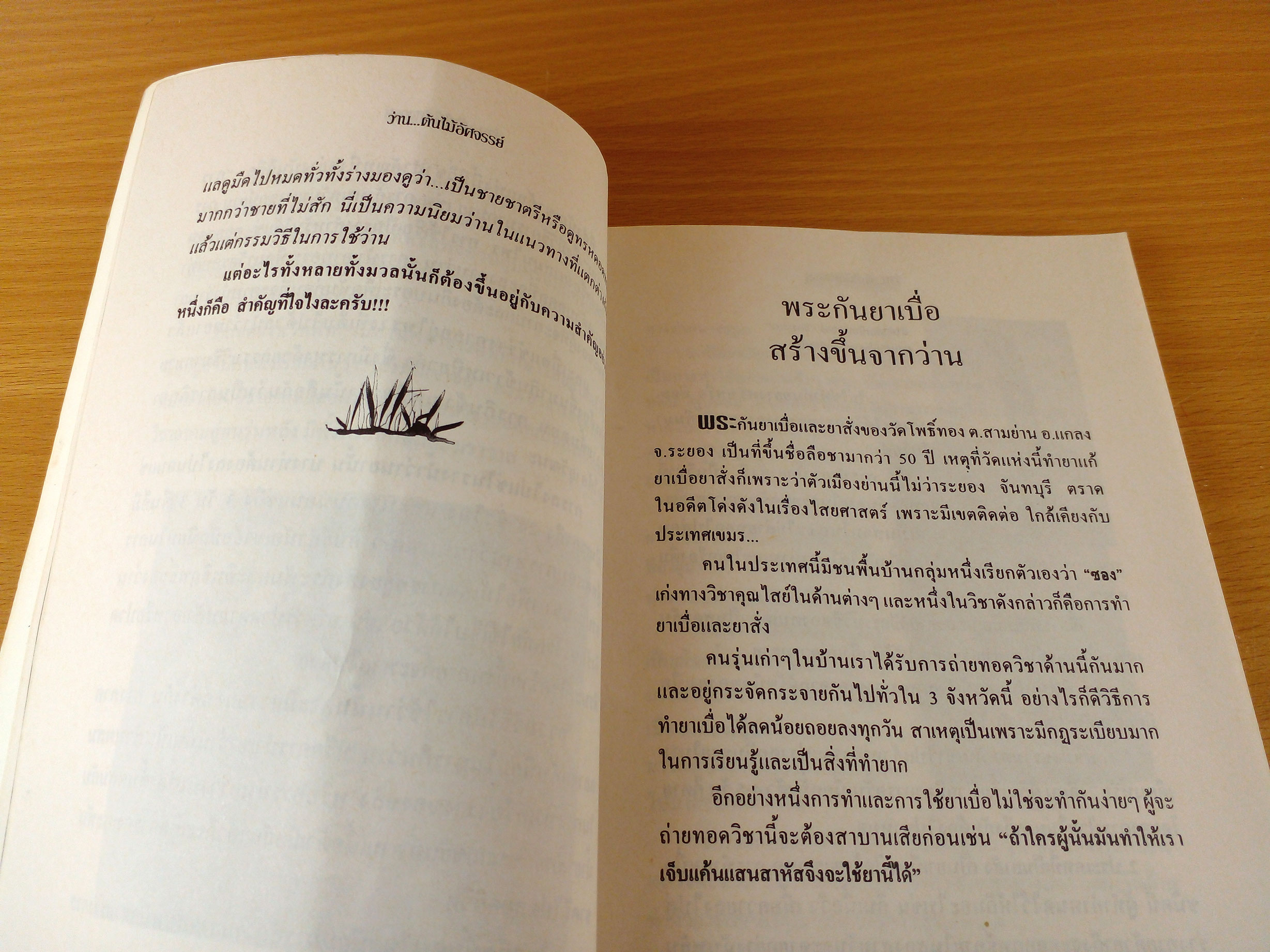 ว่าน ต้นไม้อัศจรรย์