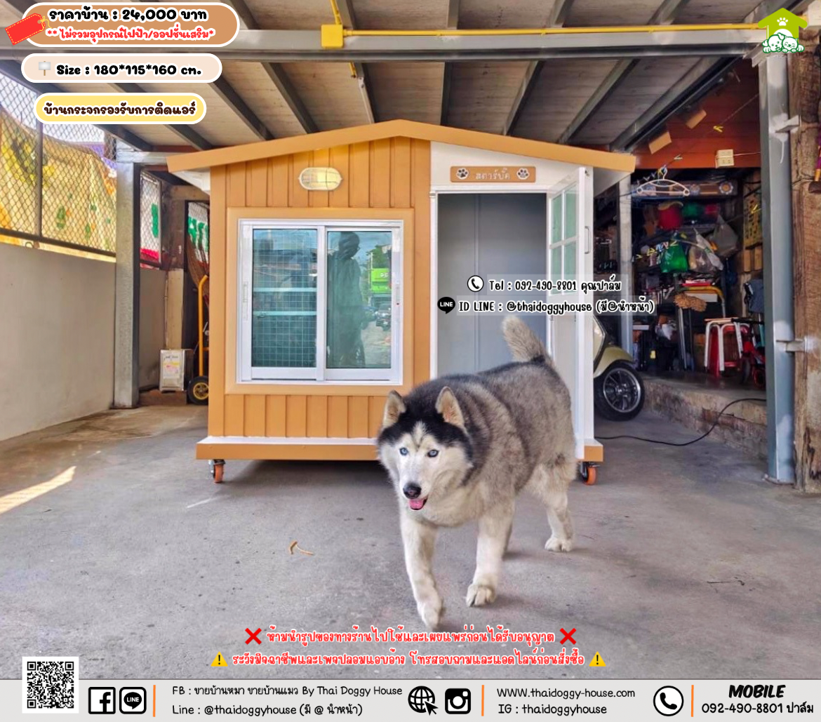 บ้านหมา บ้านแมว 𝐓𝐡𝐚𝐢 𝐝𝐨𝐠𝐠𝐲 𝐡𝐨𝐮𝐬𝗲