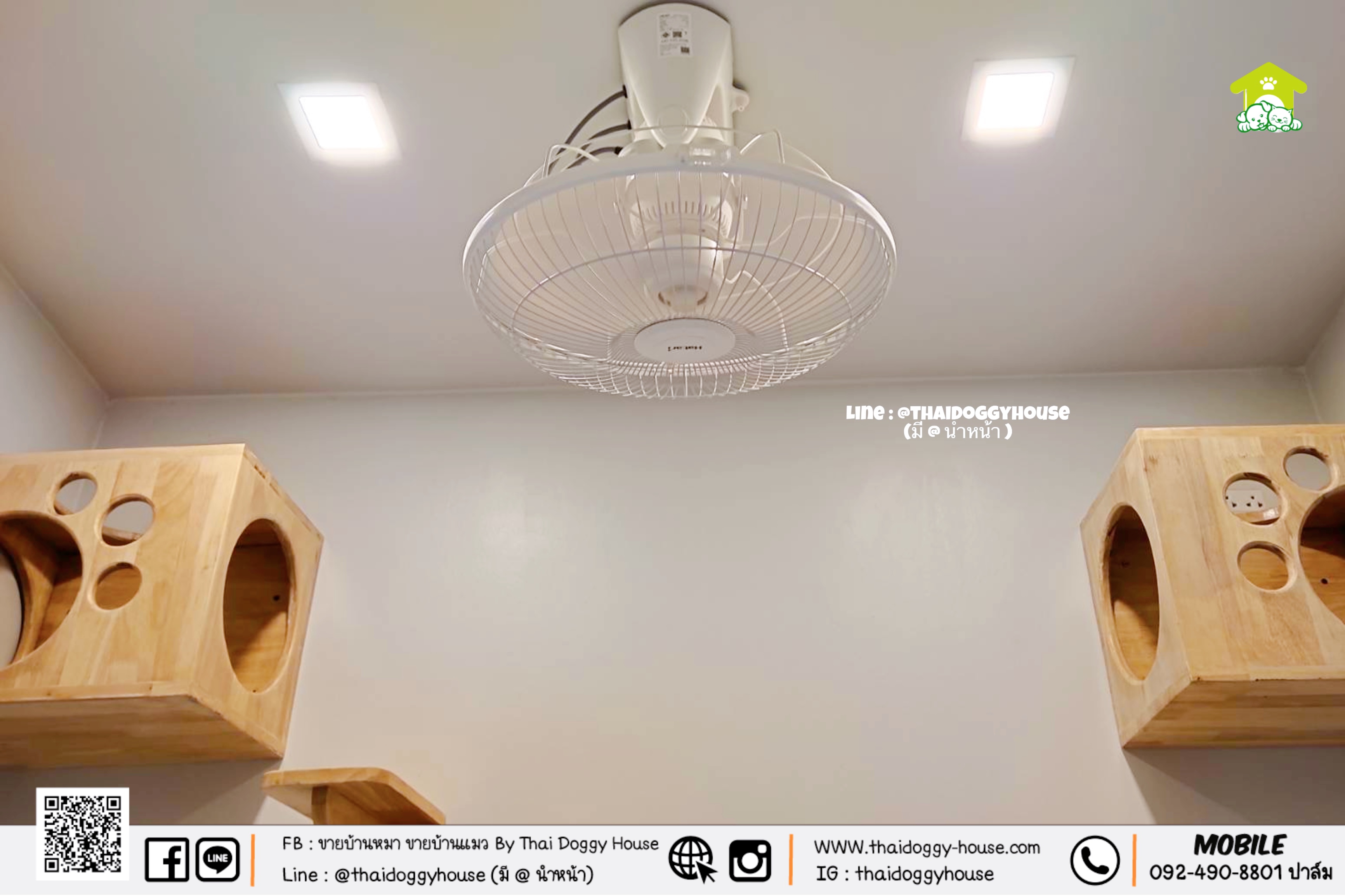 บ้านหมา บ้านแมว " 𝐌𝐨𝐝𝐞𝐫𝐧 𝐒𝐭𝐲𝐥𝐞 " หลังใหญ่ พร้อมตะแกรงเหล็ก มุ้งลวดทั้งหลัง