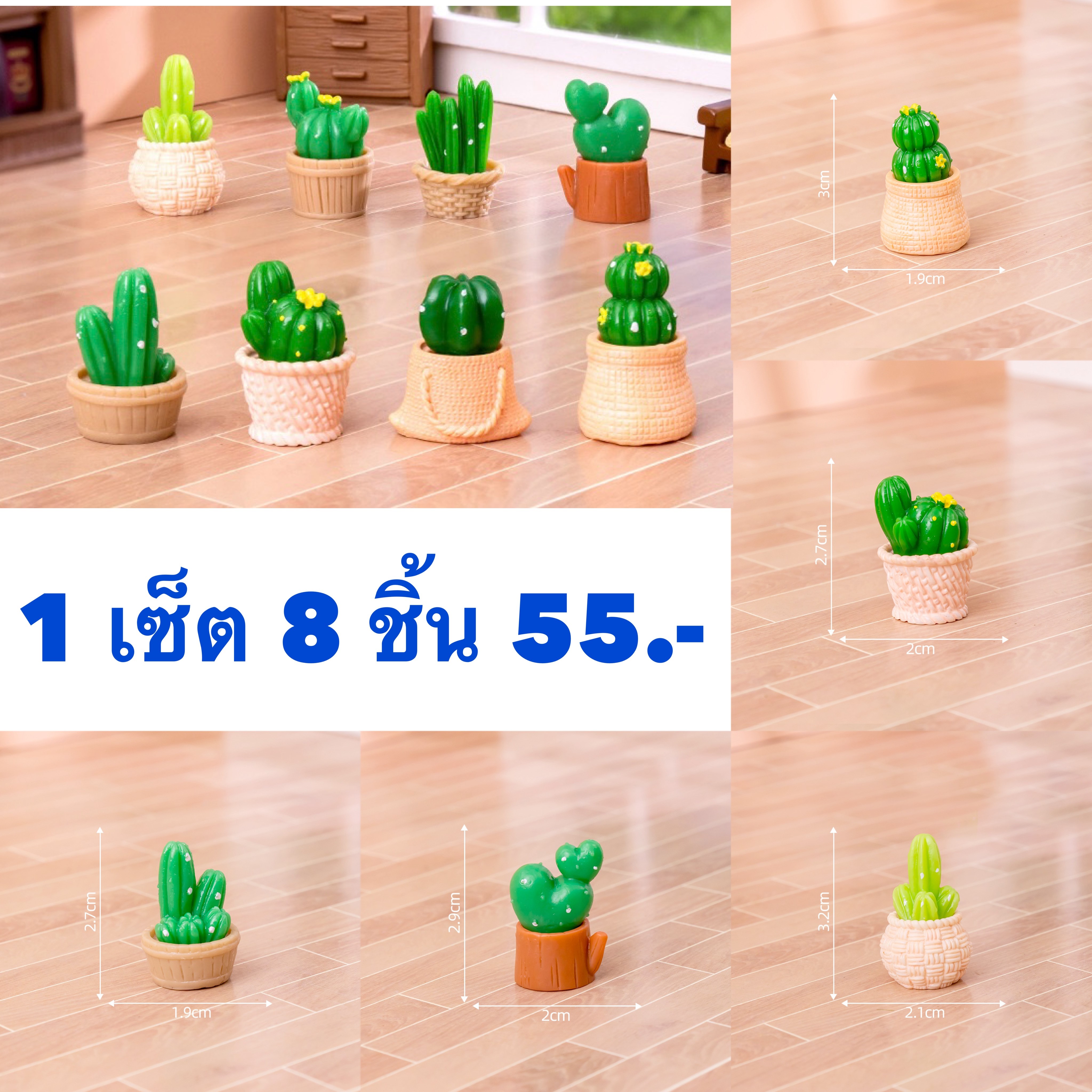 แคสตัส 8 ชิ้น