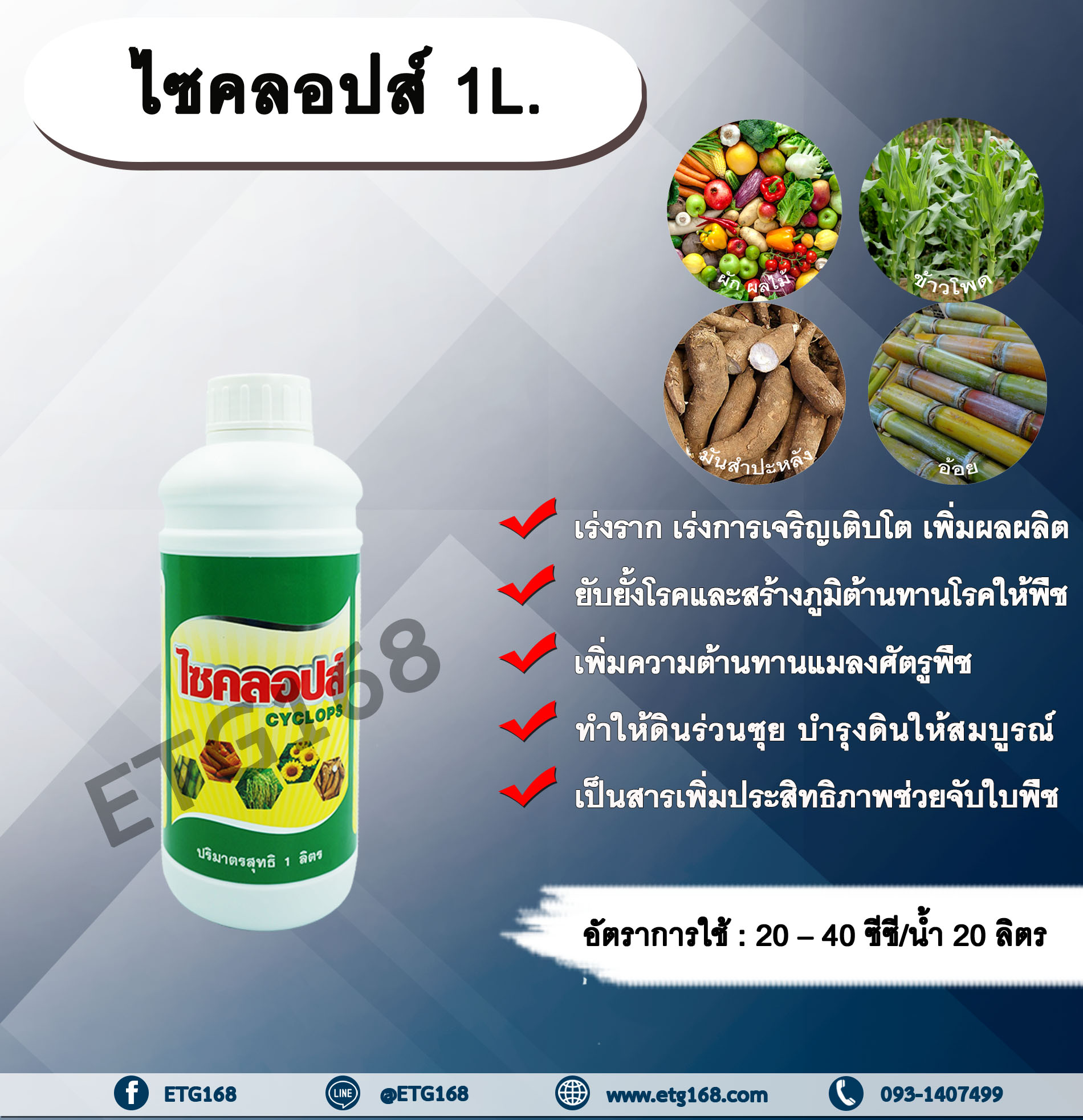 ไซคลอปส์ 1L. ไคโตซานเกรดพรีเมี่ยม บำรุงราก เร่งราก เร่งโต เพิ่มผลผลิต สร้างภูมิต้านทานให้พืช ต้านทานโรคและแมลง ทำให้ดินร่วนซุย บำรุงดินให้สมบูรณ์ สารเพิ่มประสิทธิภาพ ช่วยจับใบพืช ETG168