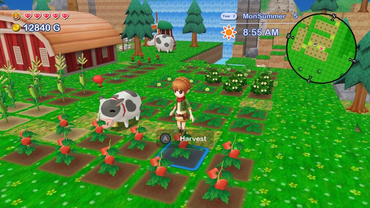NSW: Harvest Moon The Lost Valley & Skytree Village (US) (EN)