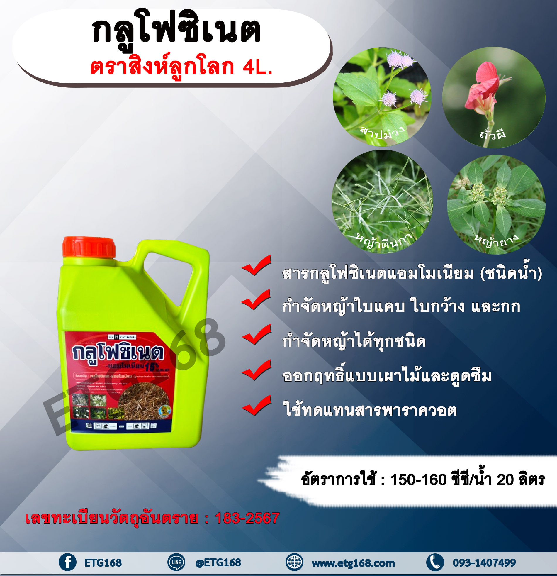 กลูโฟซิเนต ตราสิงห์ลูกโลก 4L. กลูโฟซิเนตแอมโมเนียม สารกำจัดวัชพืช กำจัดหญ้าใบแคบ ใบกว้าง กก หญ้าทุกชนิด ออกฤทธิ์แบบเผาไหม้และดูดซึม