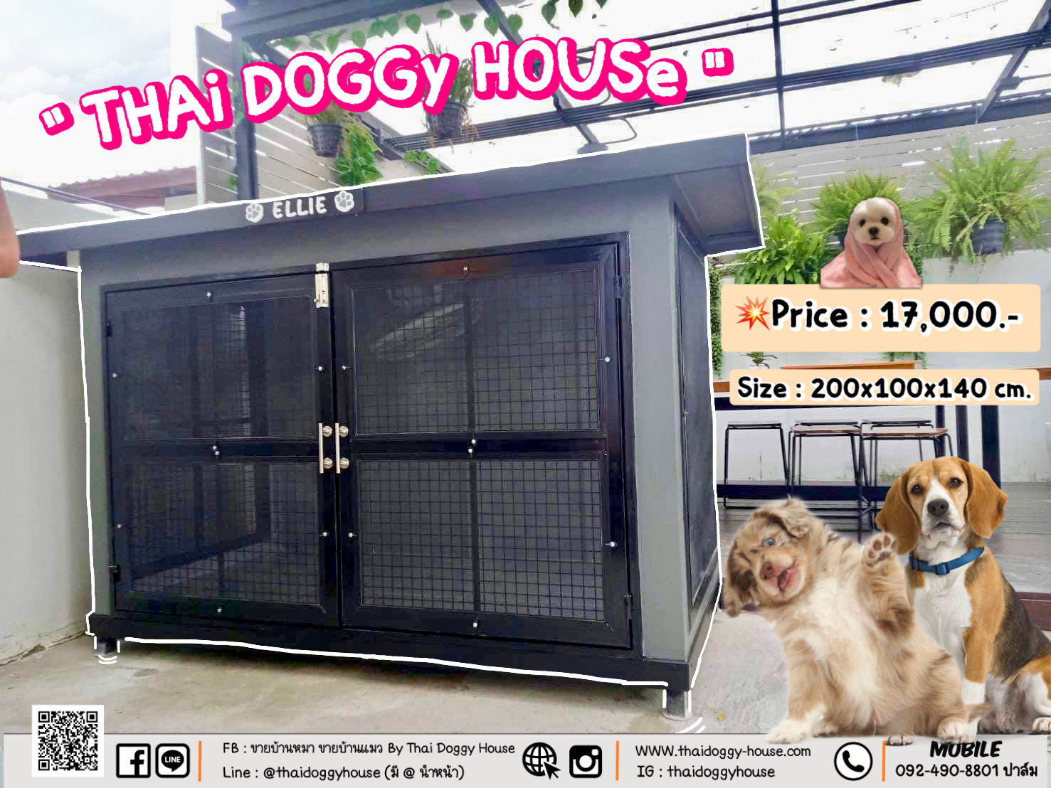 บ้านหมา บ้านแมว thai doggy house