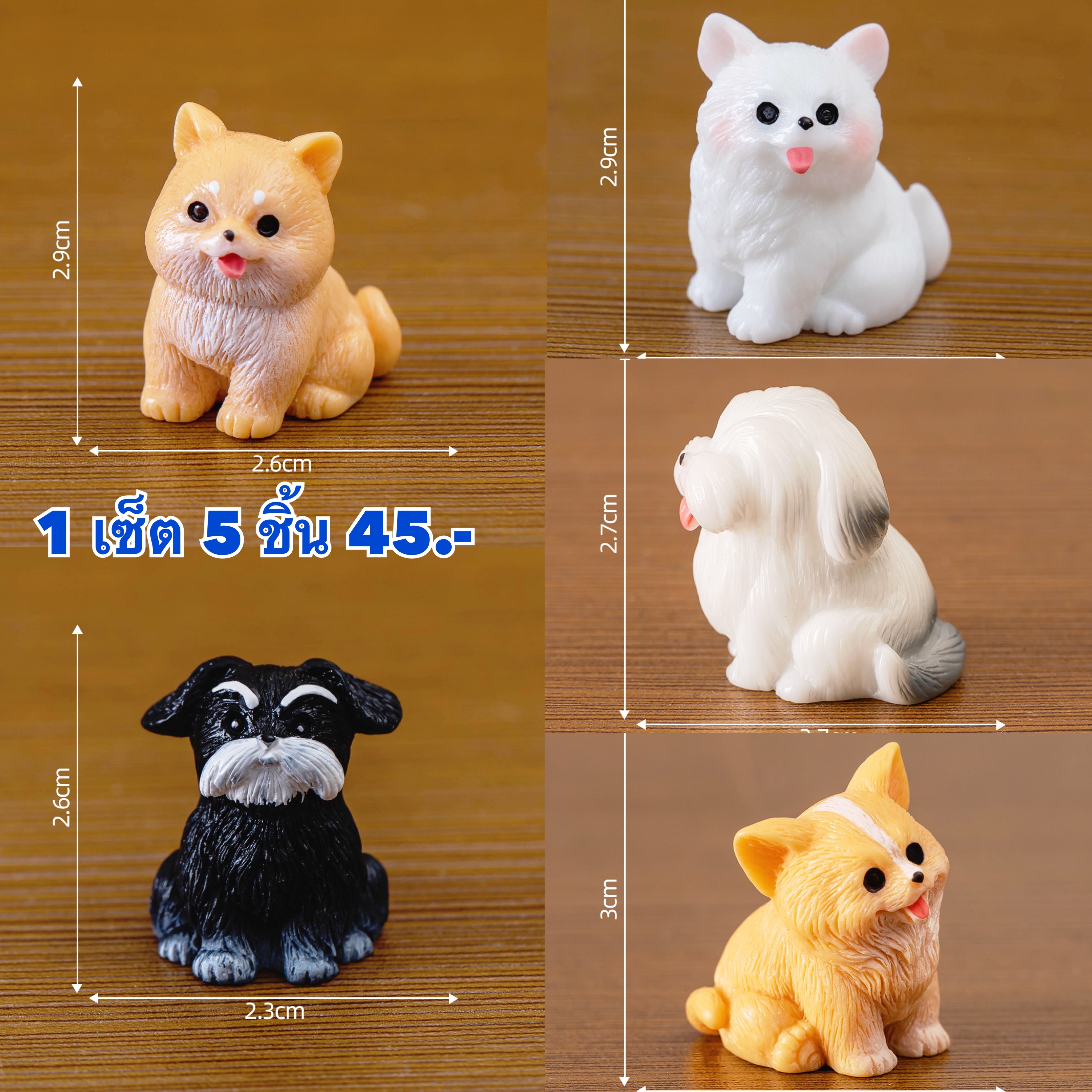 หมา 5 ชิ้น