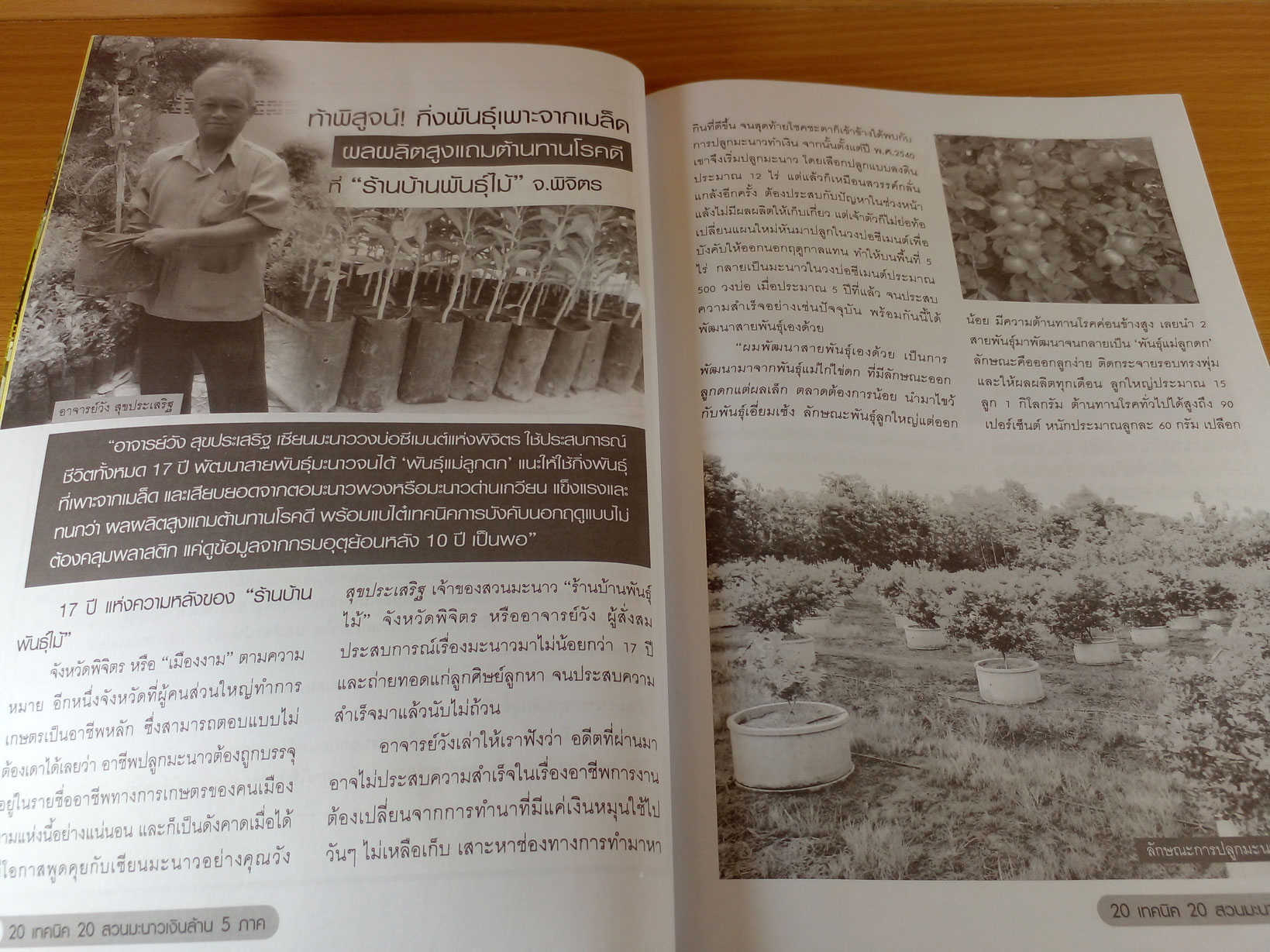 20 เทคนิค 20 สวนมะนาวเงินล้าน 5 ภาค