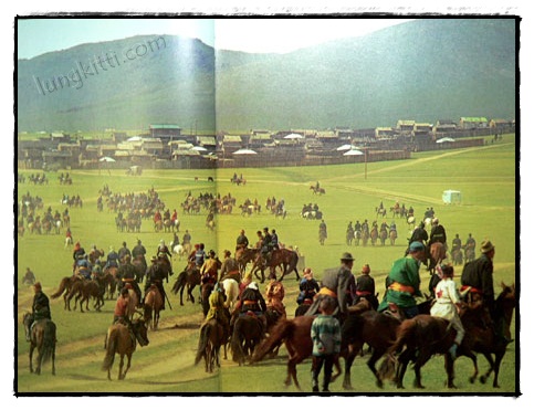 SCHOONHEID VAN HET PAARD 019622 (1)