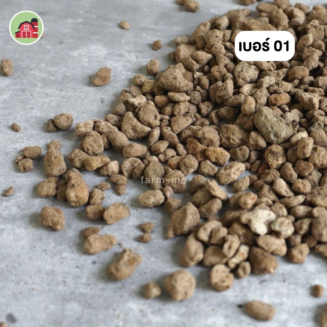 หินภูเขาไฟ