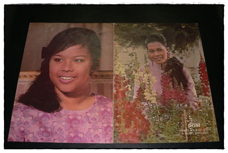 แผ่นพับภาพบรมฉายาลักษณ์ 020681 (1)