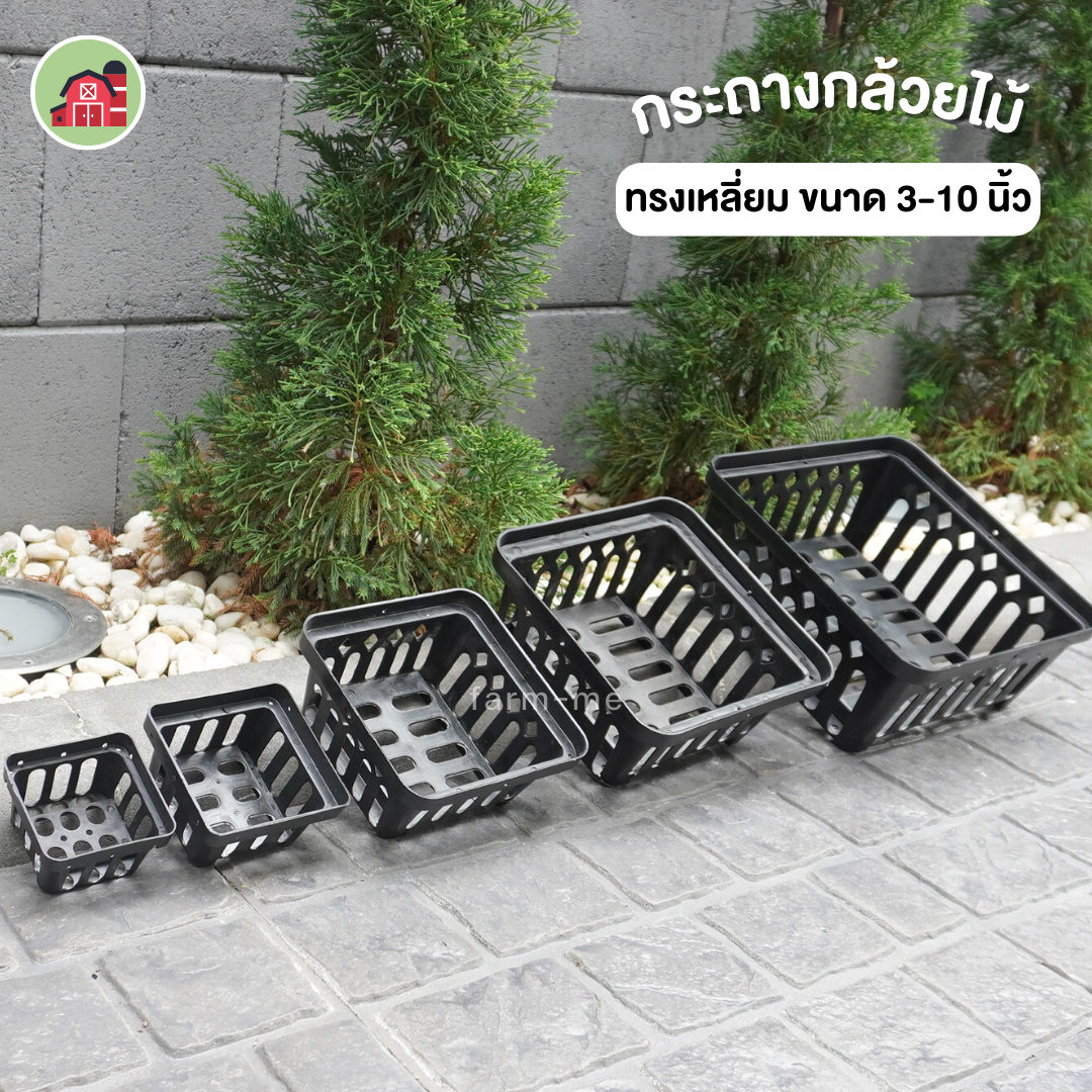กระถางกล้วยไม้ ทรงสี่เหลี่ยม (ขายส่ง)