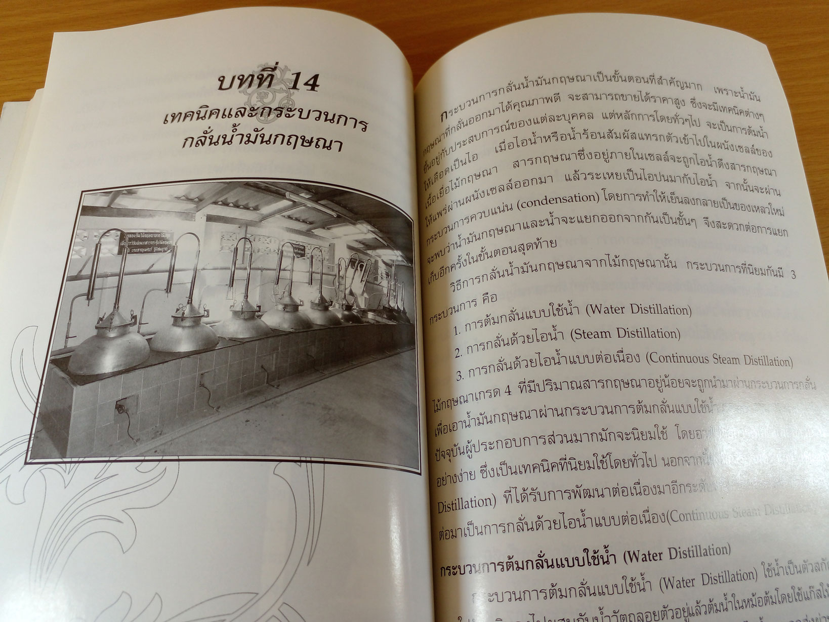 ไม้กฤษณาปลูก ต้นละหมื่น ไร่เป็นล้าน