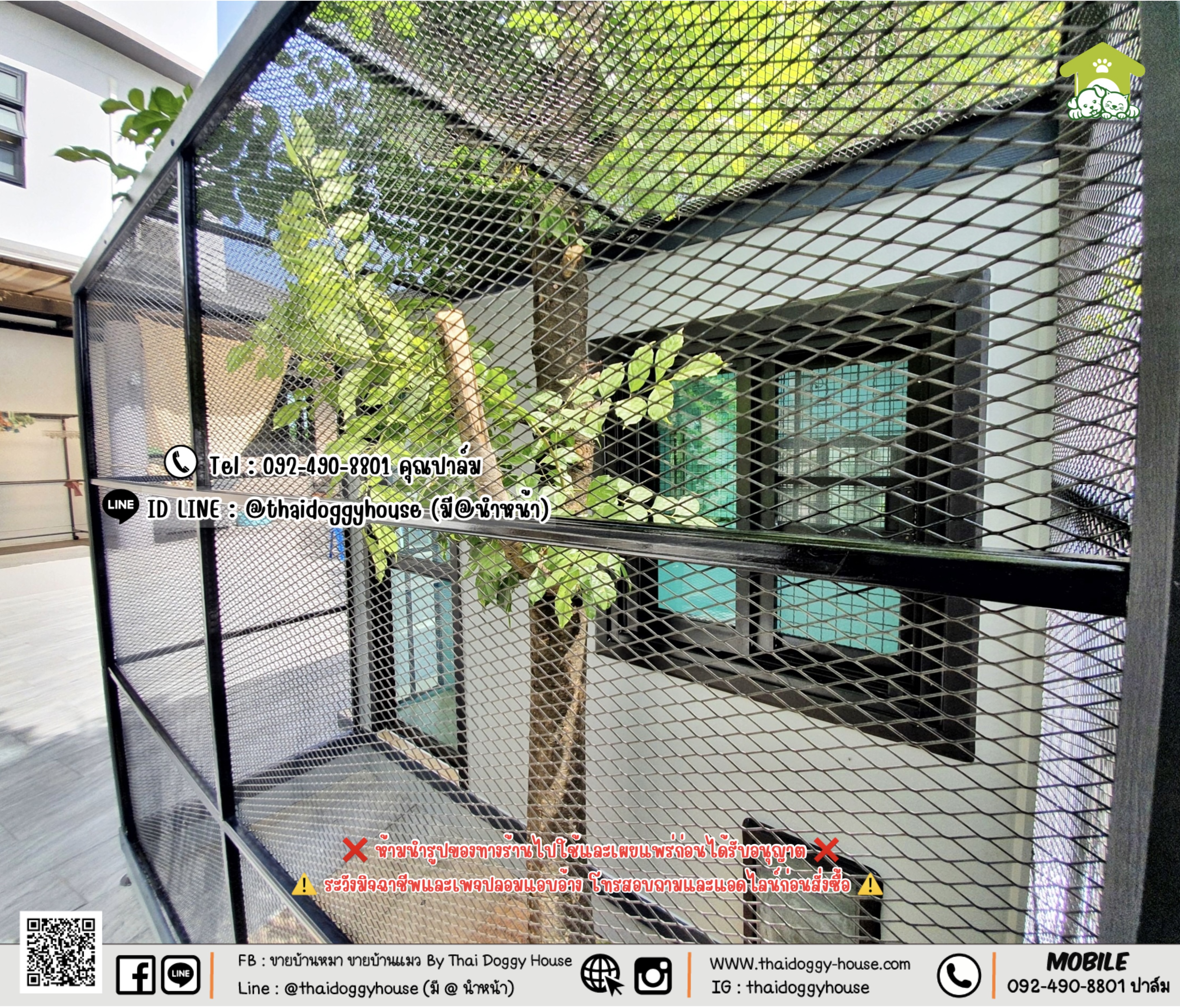 บ้านหมา บ้านแมว 𝐓𝐡𝐚𝐢 𝐝𝐨𝐠𝐠𝐲 𝐡𝐨𝐮𝐬𝐞 แบบบ้าน 𝐁𝐨𝐱 𝐒𝐭𝐲𝐥𝐞 #บ้านกระจกรองรับการติดแอร์