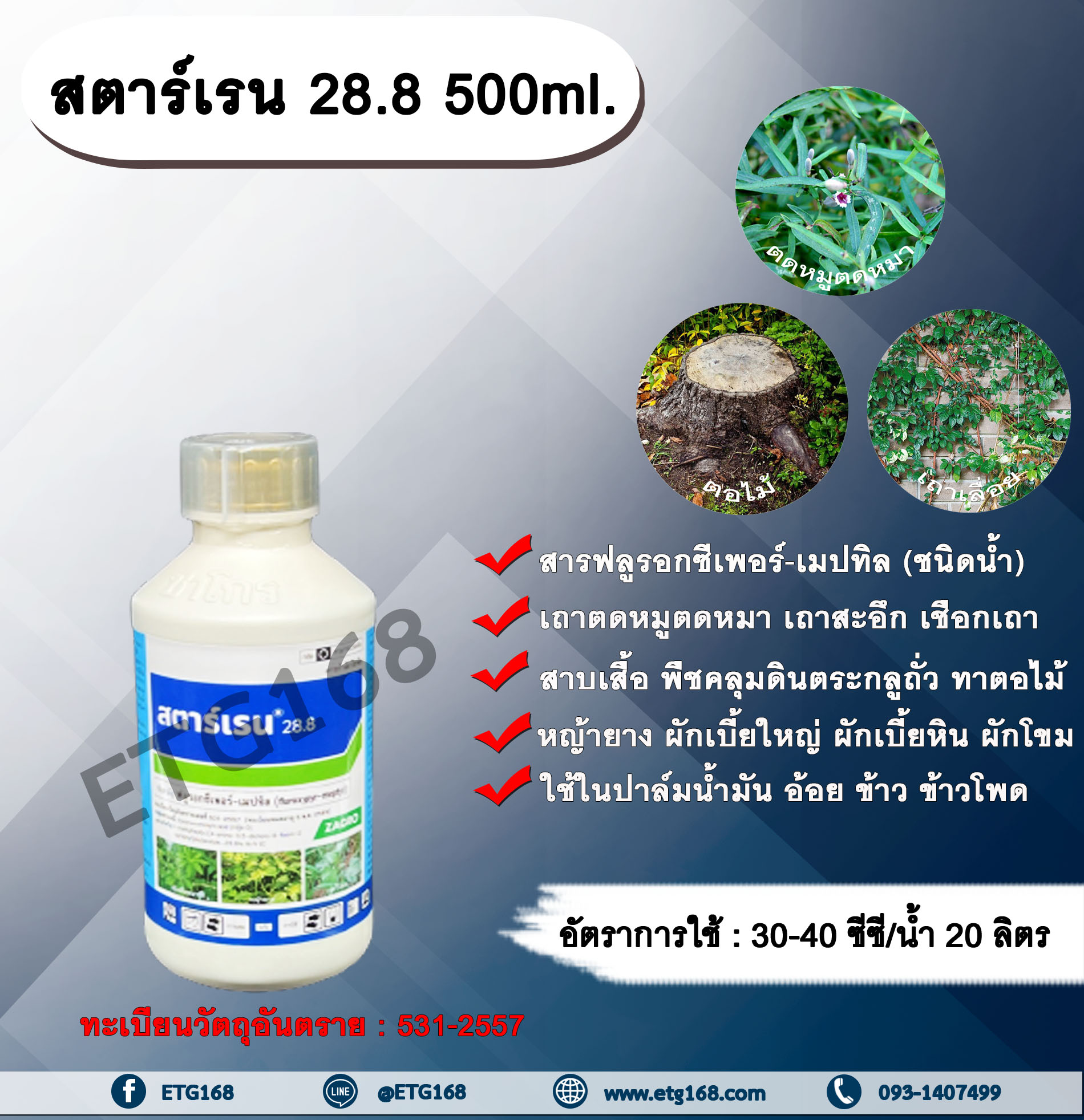 สตาร์เรน 28.8 500 cc ฟลูรอกซีเพอร์-เมปทิล สารกำจัดวัชพืช กำจัดวัชพืชใบกว้าง กำจัดเถาตดหมูตดหมา เถาสะอึก เชือกเถา เถาถั่วคลุม สาบแร้ง สาบกา สาบเสือ หญ้ายาง ผักเบี้ยหิน เซ่งใบมน ขยุ้งตีนหมาและพืชคลุมดิน ตระกลูถั่ว ทาตอไม้ ใช้ในปาล์มน้ำมัน อ้อย ข้าว ข้าวโพด