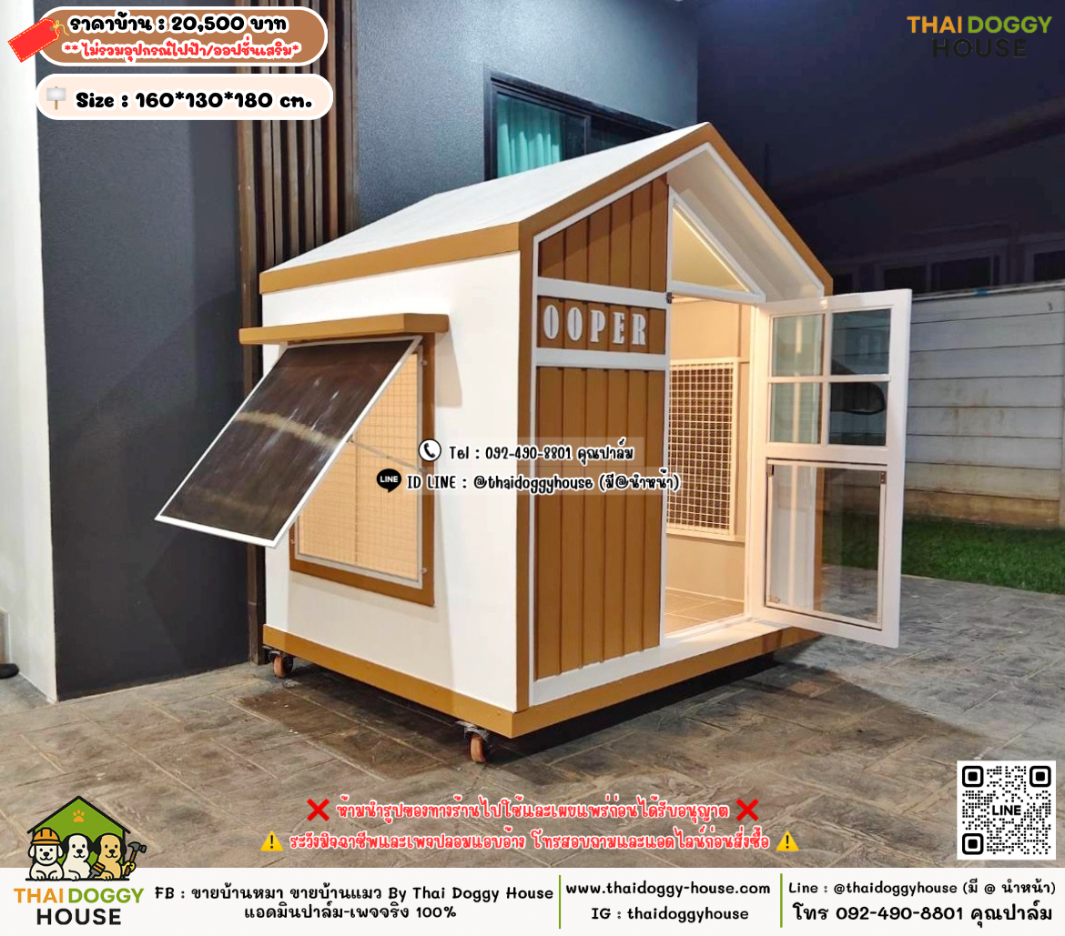 บ้านหมา บ้านแมว 𝐓𝐡𝐚𝐢 𝐝𝐨𝐠𝐠𝐲 𝐡𝐨𝐮𝐬𝗲