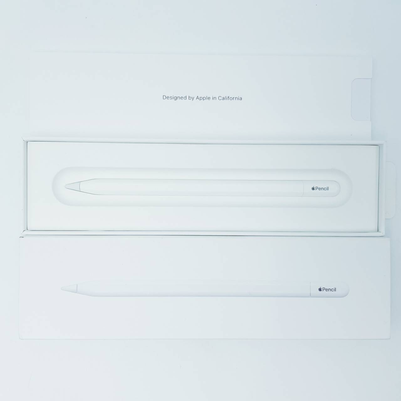 ⚽️ Apple Pencil USB-C ⚽️ #ปกศ.6 เดือน! ⚽️