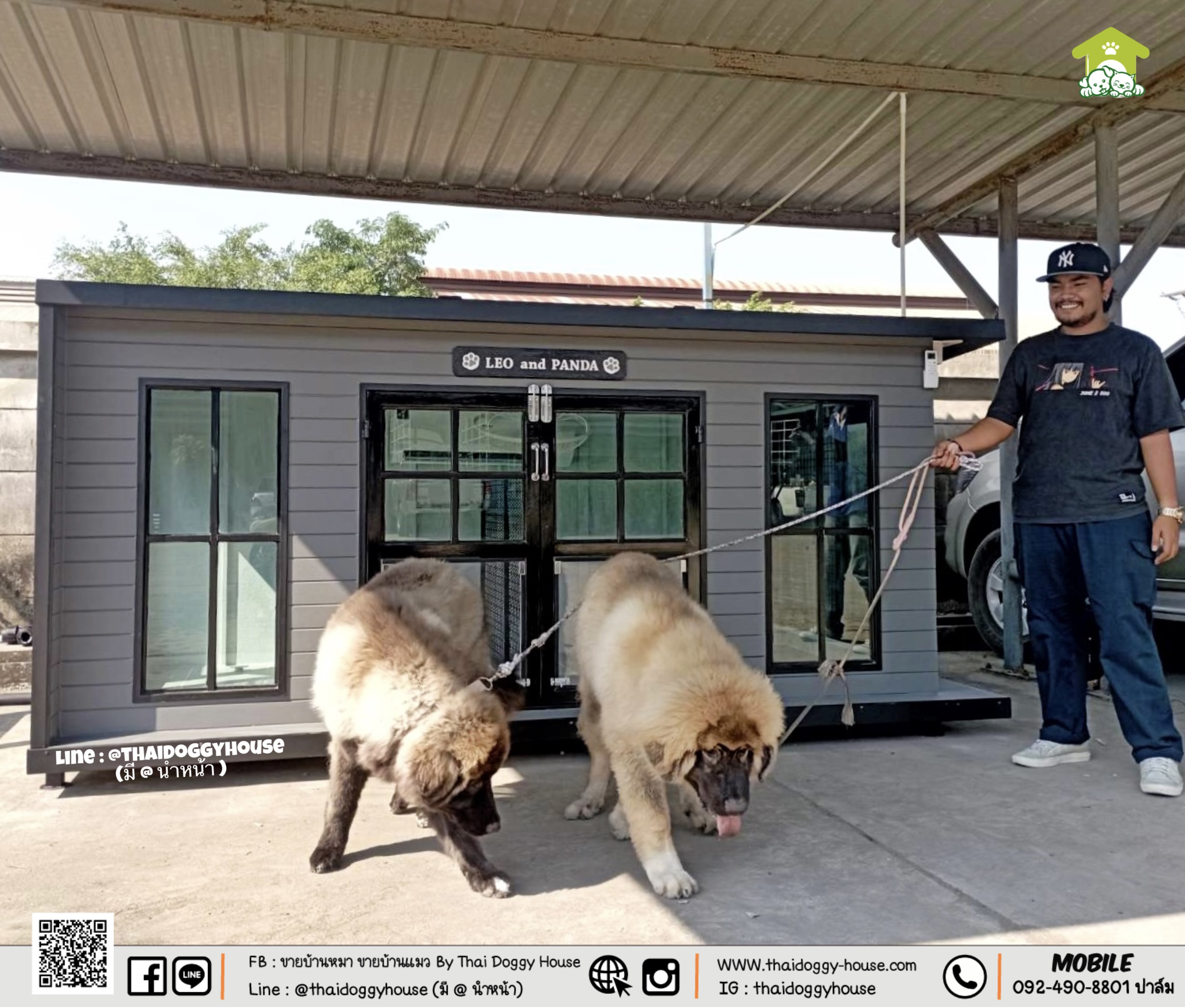 บ้านหมา บ้านแมว " 𝐁𝐎𝐗 𝐒𝐓𝐘𝐋𝐄 𝐁𝐘 𝐓𝐇𝐀𝐈 𝐃𝐎𝐆𝐆𝐘 𝐇𝐎𝐔𝐒𝐄 "