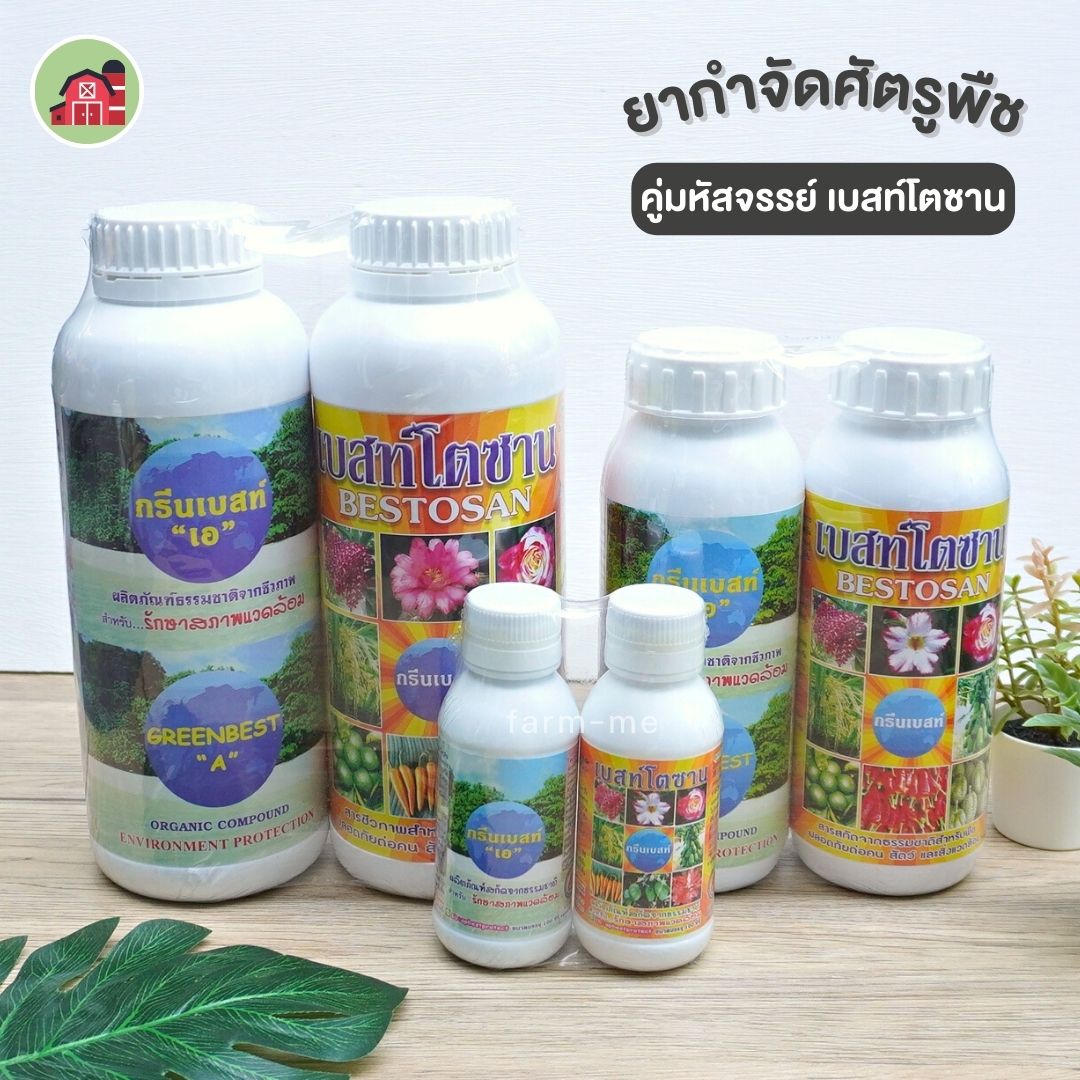 คู่มหัศจรรย์ เบสโตซาน ไคโตซาน