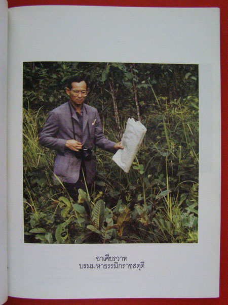 พรรณไม้ในสวนหลวง ร.๙ 001541