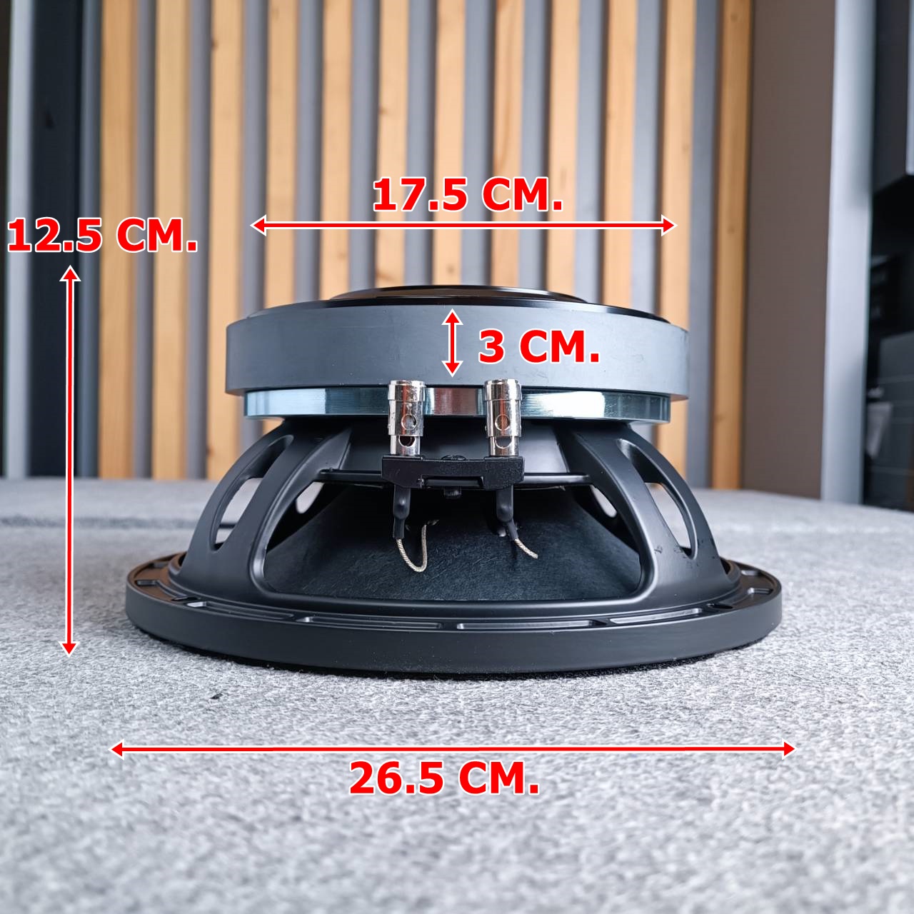 KANE 10AB1000 ลำโพง10นิ้ว ดอกลำโพง 10" 10AB-1000 KA NE คาเน่ 10AB 1000 เอไอ-ไพศาล