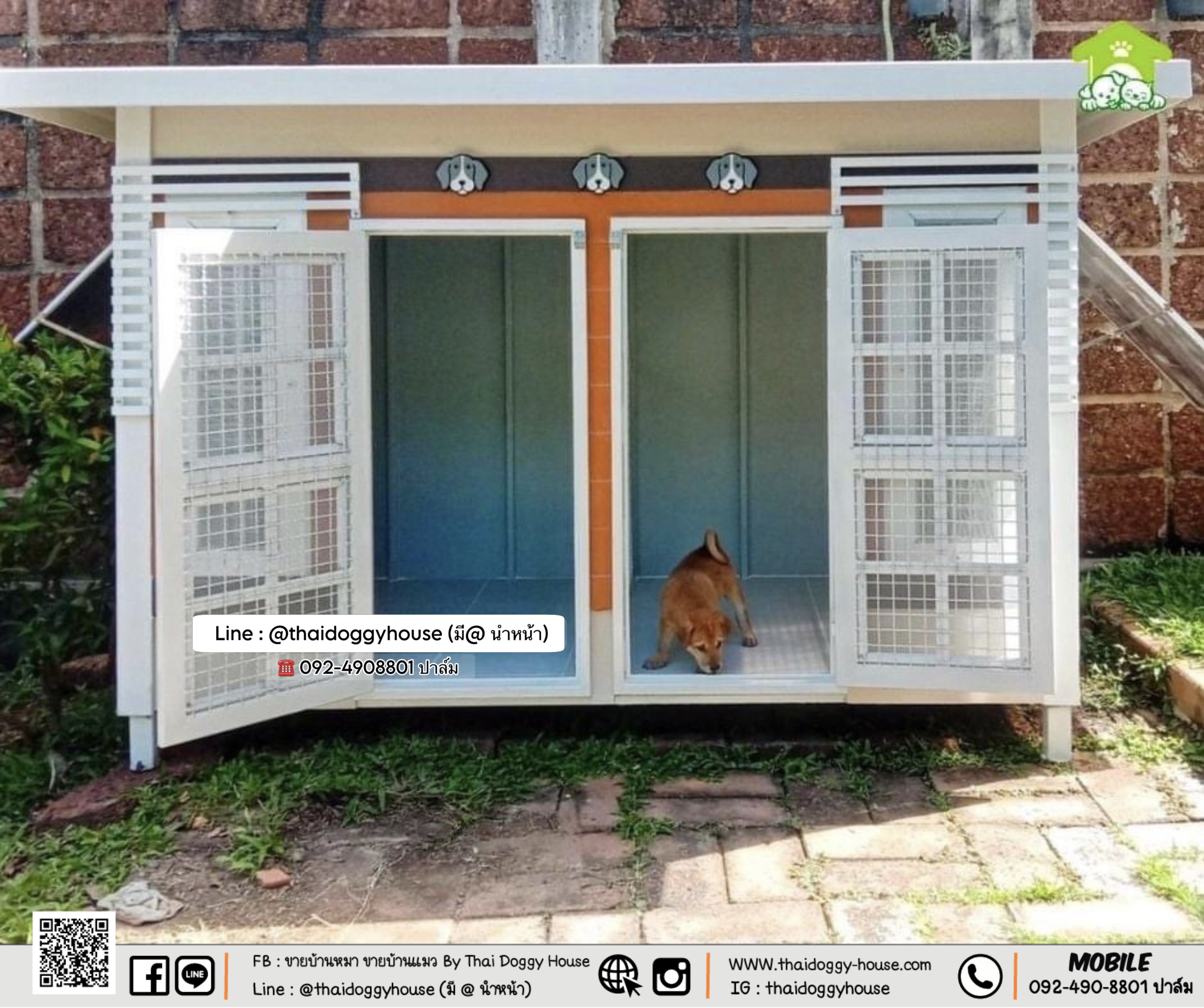 บ้านหมา บ้านแมว 𝐓𝐡𝐚𝐢 𝐝𝐨𝐠𝐠𝐲 𝐡𝐨𝐮𝐬𝐞 แบบบ้าน "𝗕𝗼𝘅 𝗦𝘁𝘆𝗹𝗲
