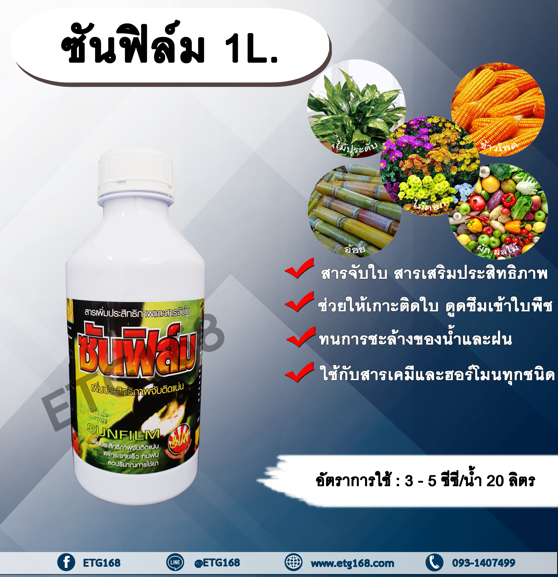ซันฟิล์ม 1L. สารจับใบ สารเคลือบใบ สารเสริมประสิทธิภาพทางใบ สารเคมีเกาะติดใบพืช สารเคมีดูดซึมเข้าใบพืช ทนการชะล้างของฝน ใช้ได้กับ สารกำจัดแมลง กำจัดวัชพืช กำจัดโรคพืช ปุ๋ย ฮอร์โมน