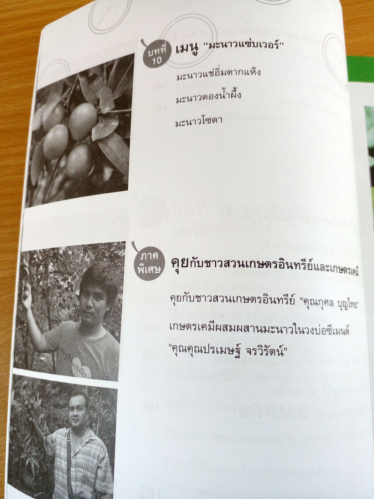 สร้างกำไรด้วยการปลูกมะนาว+ขายต้นกล้า