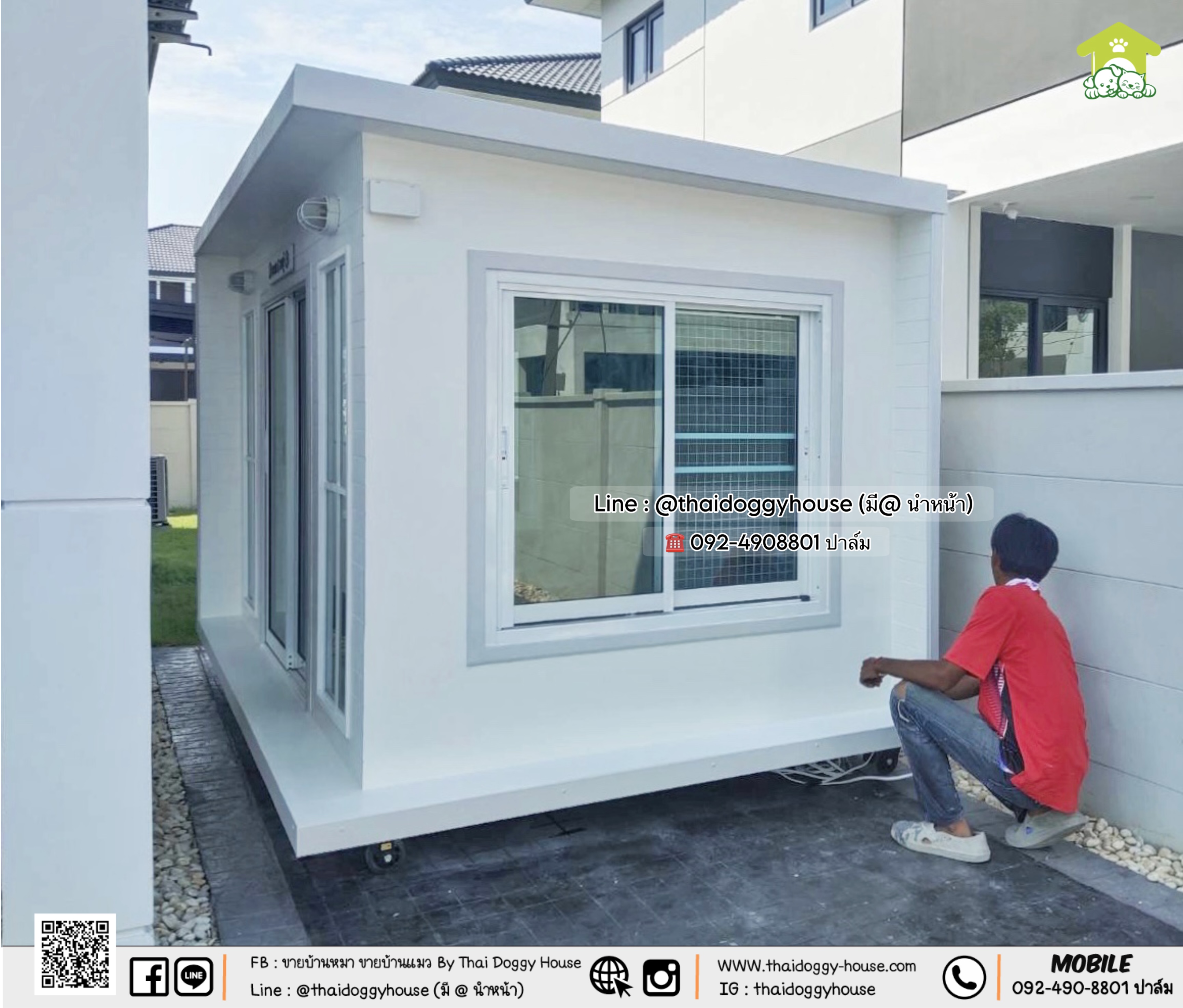 🏡🤍 บ้านหมา บ้านแมว 𝐓𝐡𝐚𝐢 𝐝𝐨𝐠𝐠𝐲 𝐡𝐨𝐮𝐬𝐞 🐈🐕🦺 ✨แบบบ้าน 𝐁𝐨𝐱 𝐒𝐭&