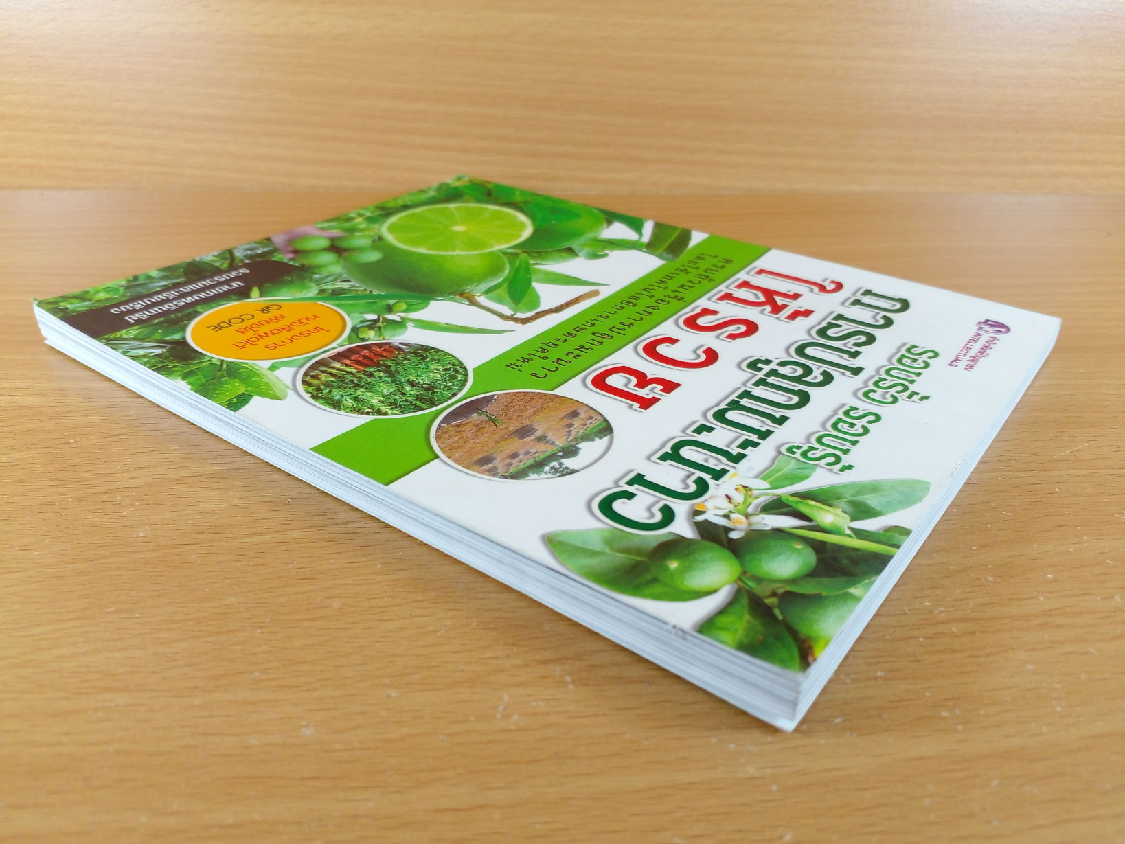 รอบรั้ว รอบรู้ การปลูกมะนาวให้รวย