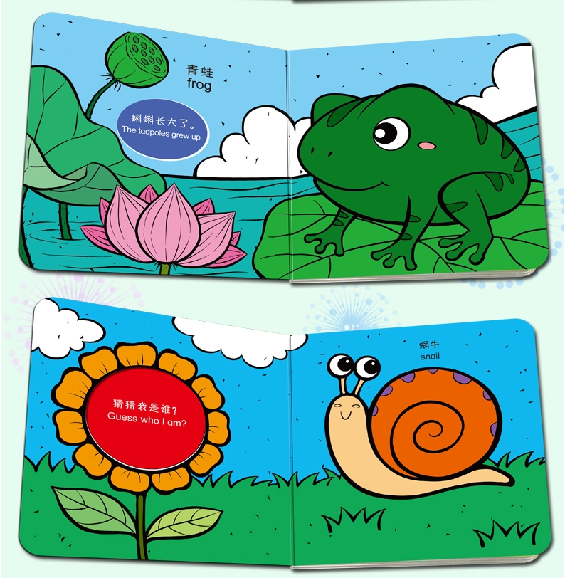 Board Book 10เล่ม เซ็ท A