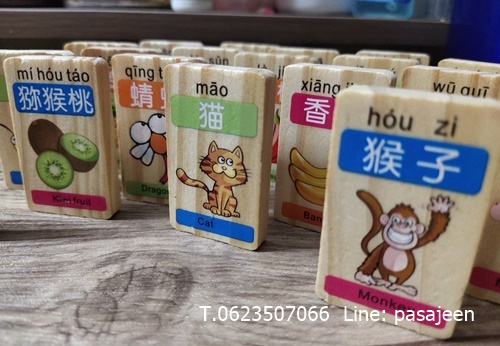 โดมิโนคำศัพท์ (ผลไม้สัตว์) 100ชิ้น