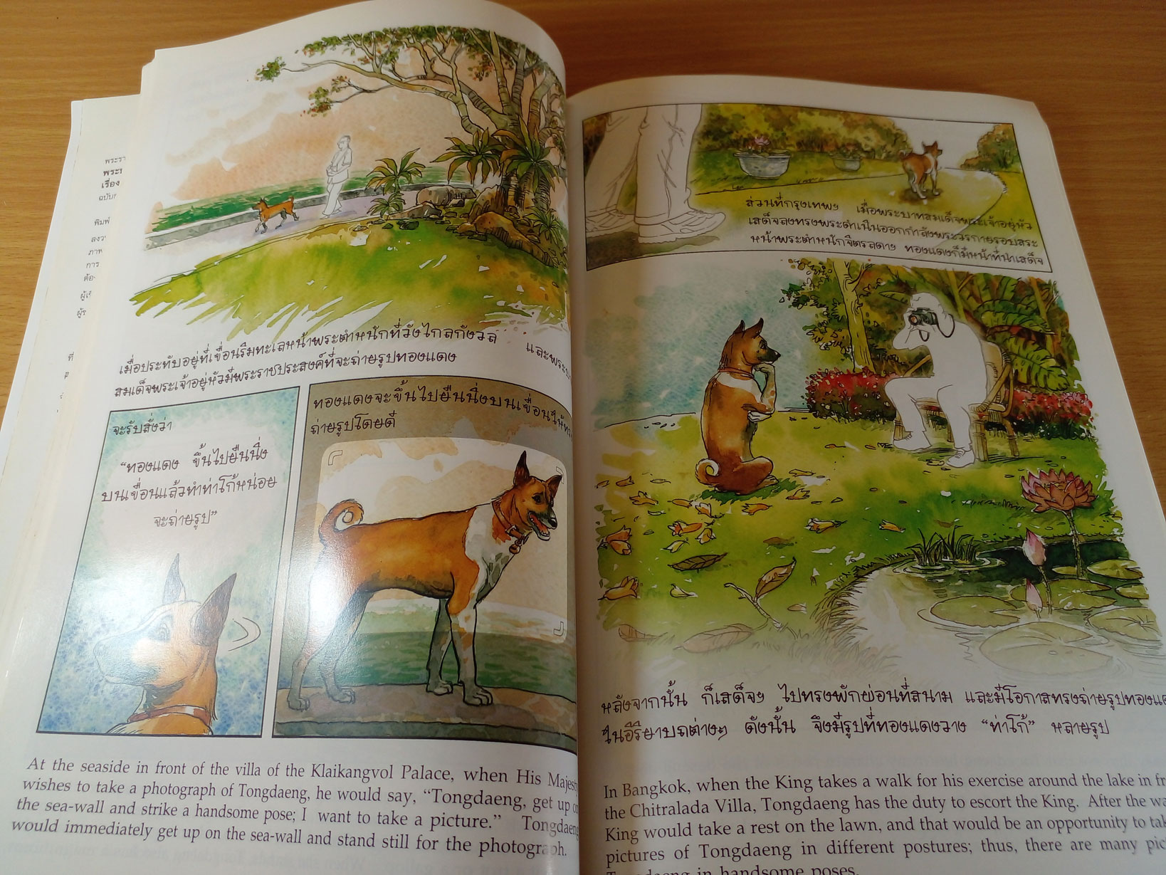 เรื่องทองแดงฉบับการ์ตูน