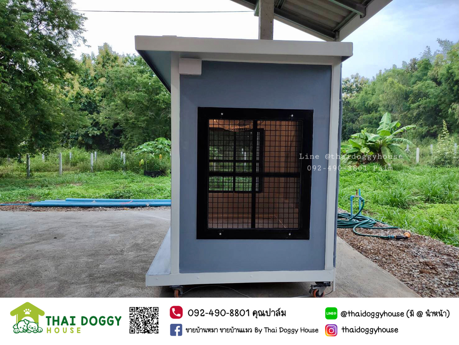 บ้านหมา บ้านแมว บ้านสัตว์เลี้ยง