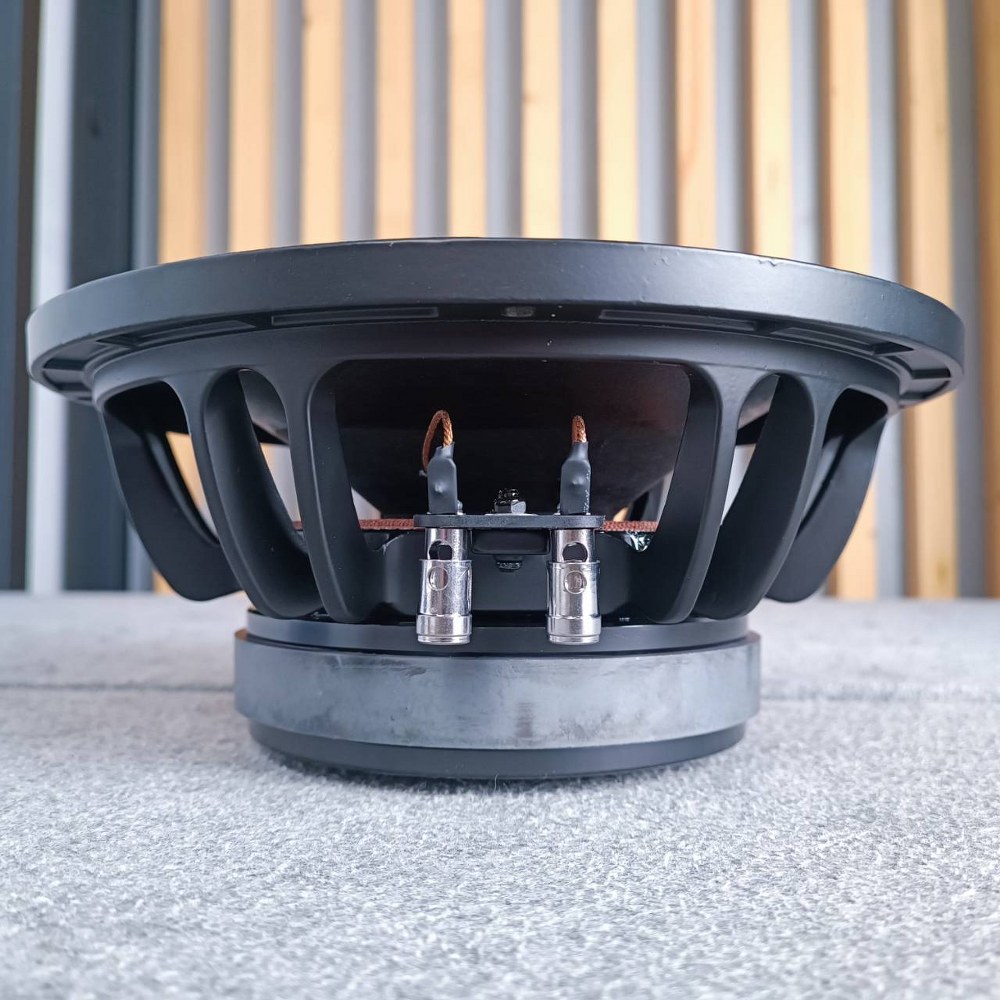 NPE PRO-10 ดอกลำโพง 10นิ้ว โครงหล่อ ลำโพง ขนาด 10 นิ้ว PRO 10 กำลังขับ 200 วัตต์ ที่ 8 โอห์ม PRO10 เอไอ-ไพศาล