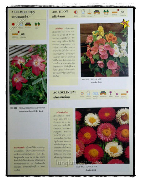 คู่มือเมล็ดพันธุ์ไม้ดอก (FLOWER SEED CATALOGUE) 021331