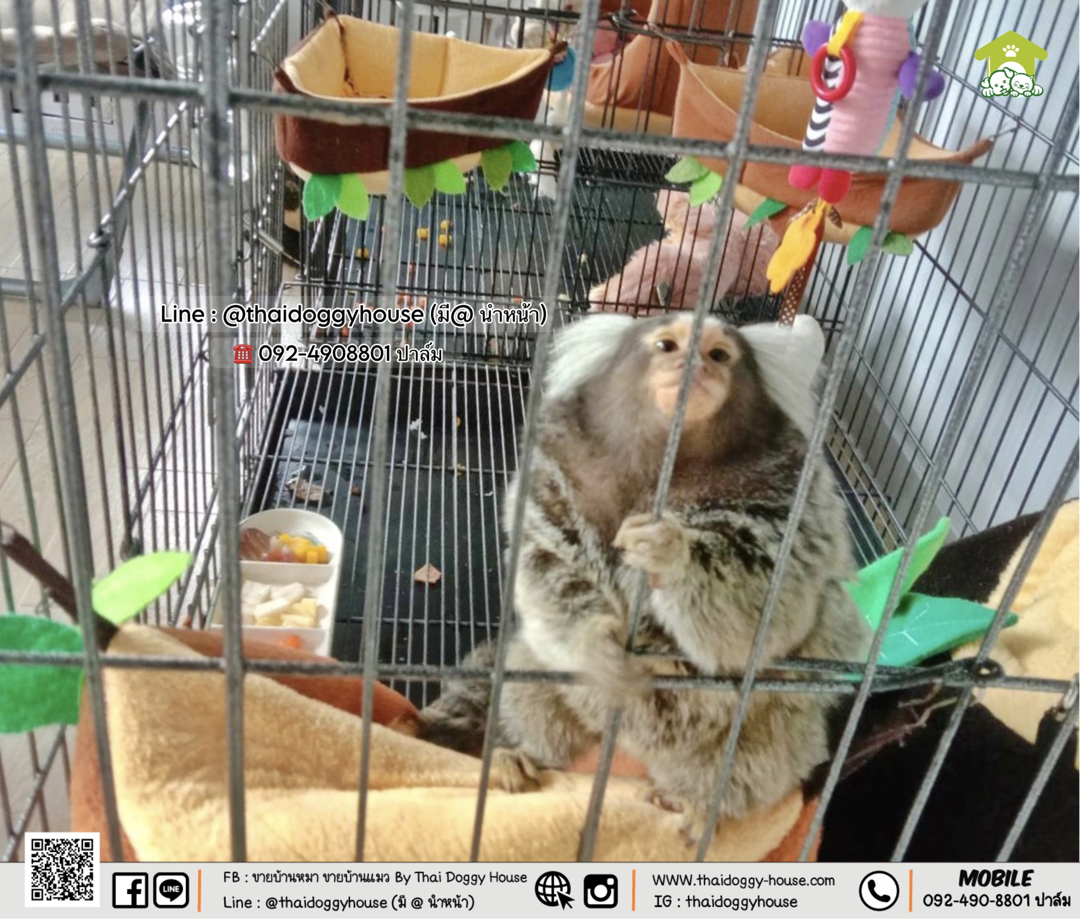 🏠 " 𝑴𝑼𝑱𝑰 𝑺𝑻𝒀𝑳𝑬 𝑪𝑨𝑻 𝑯𝑶𝑼𝑺𝑬 " 🏡 ออกแบ่งออกเป็น 2 โซน 🦥🦥