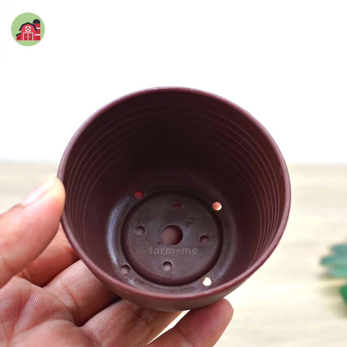 กระถางแคคตัส กลม ขนาด 2.5 นิ้ว แพ็ค50ใบ