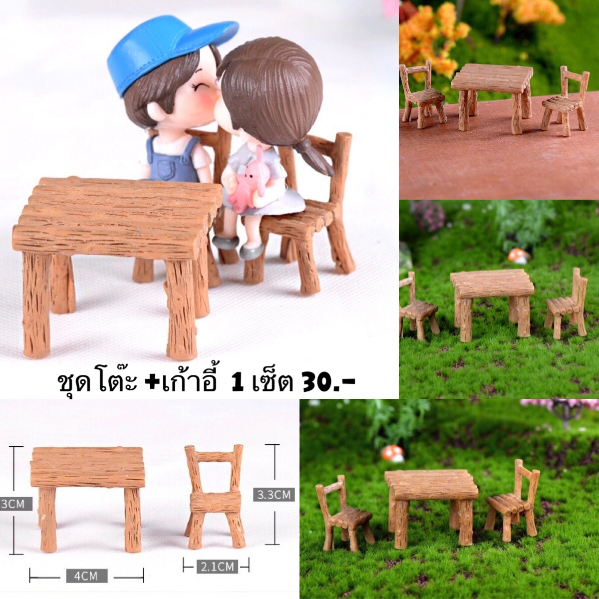 ชุดโต๊ะ +เก้าอี้