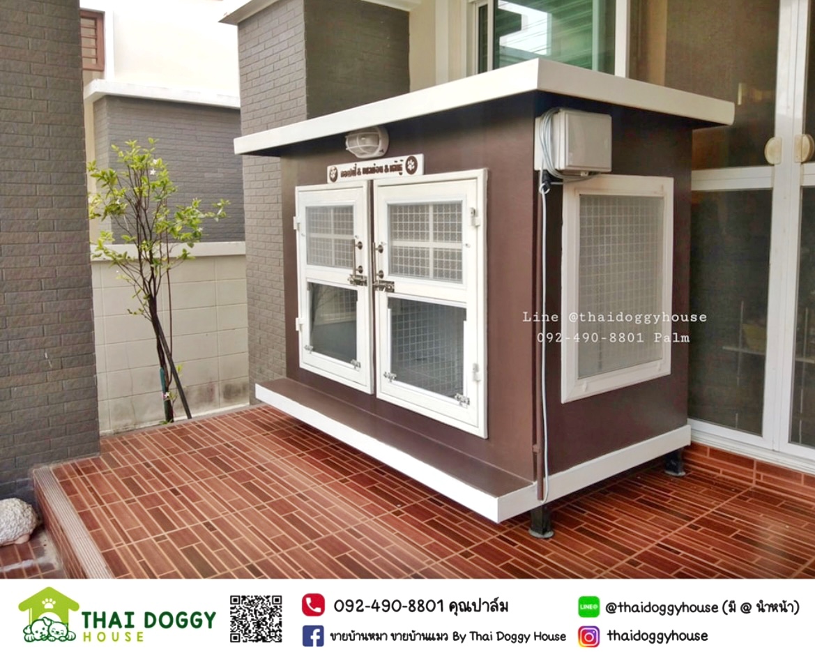 บ้านหมา บ้านแมว " 𝐁𝐎𝐗 𝐒𝐓𝐘𝐋𝐄 𝐁𝐘 𝐓𝐇𝐀𝐈 𝐃𝐎𝐆𝐆𝐘 𝐇𝐎𝐔𝐒𝐄 "