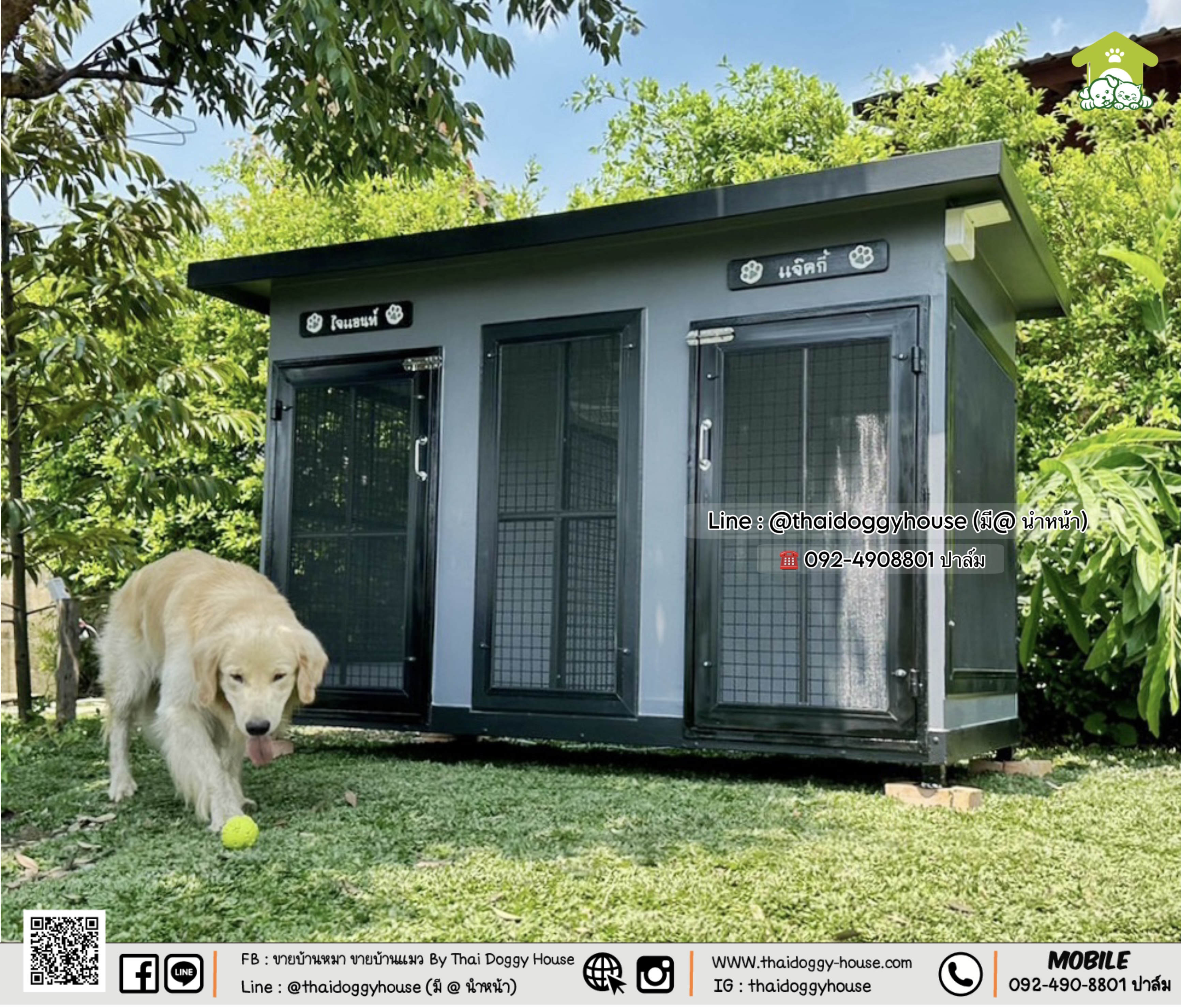 บ้านหมา บ้านแมว " 𝐁𝐎𝐗 𝐒𝐓𝐘𝐋𝐄 𝐁𝐘 𝐓𝐇𝐀𝐈 𝐃𝐎𝐆𝐆𝐘 𝐇𝐎𝐔𝐒𝐄